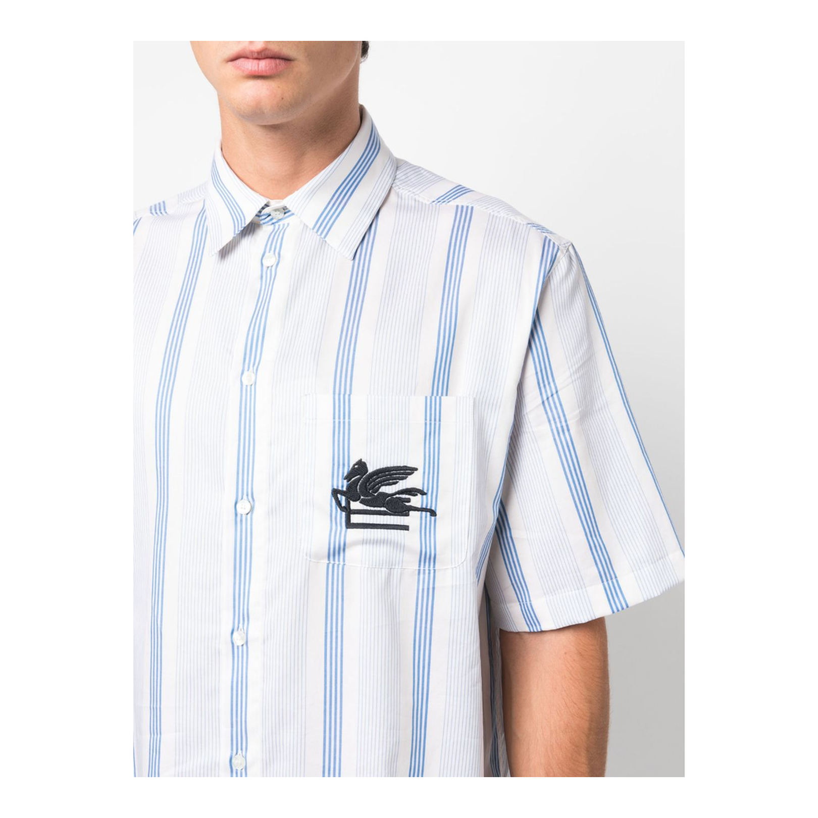 Blue Striped Embroidered Shirt