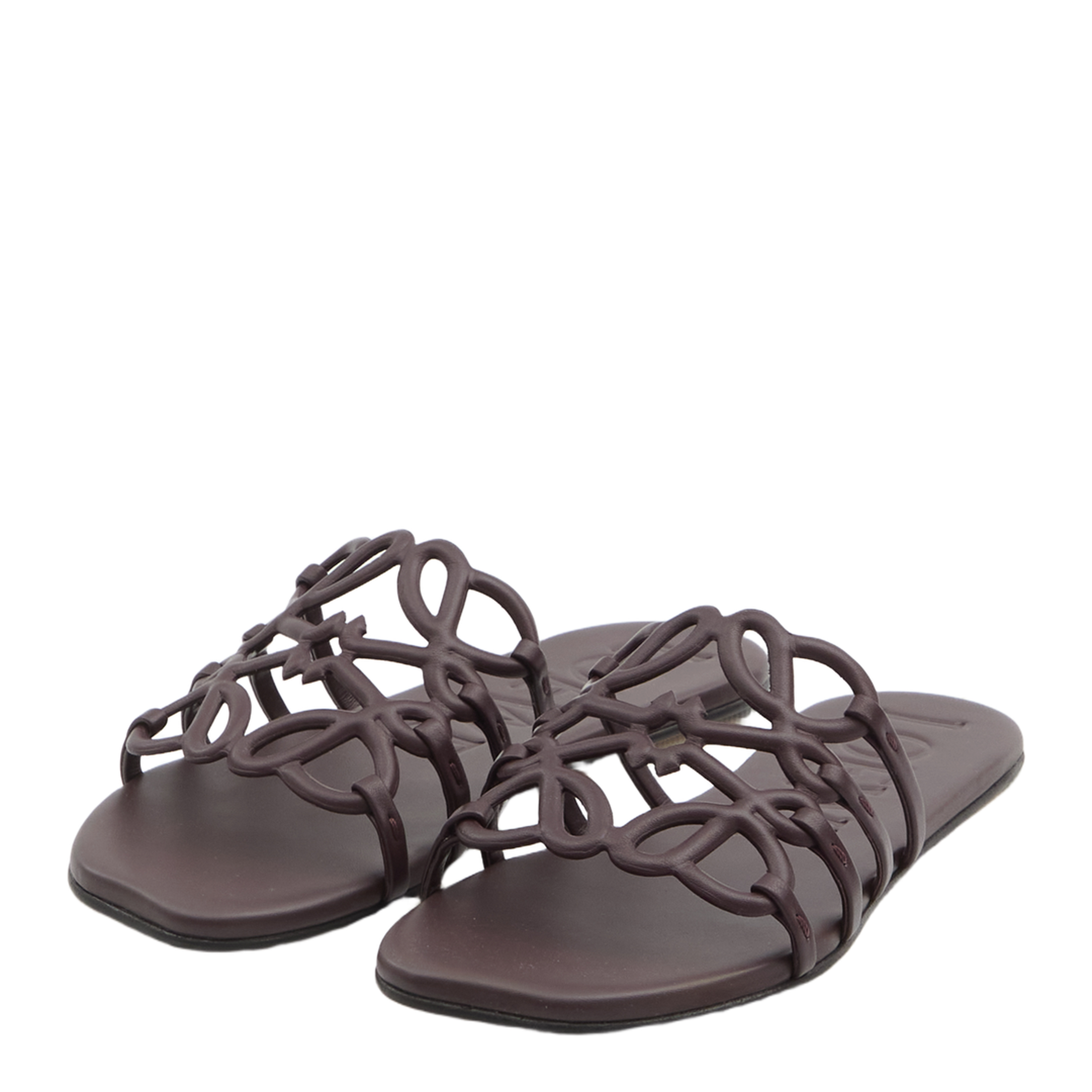 Anagram Petal Slides