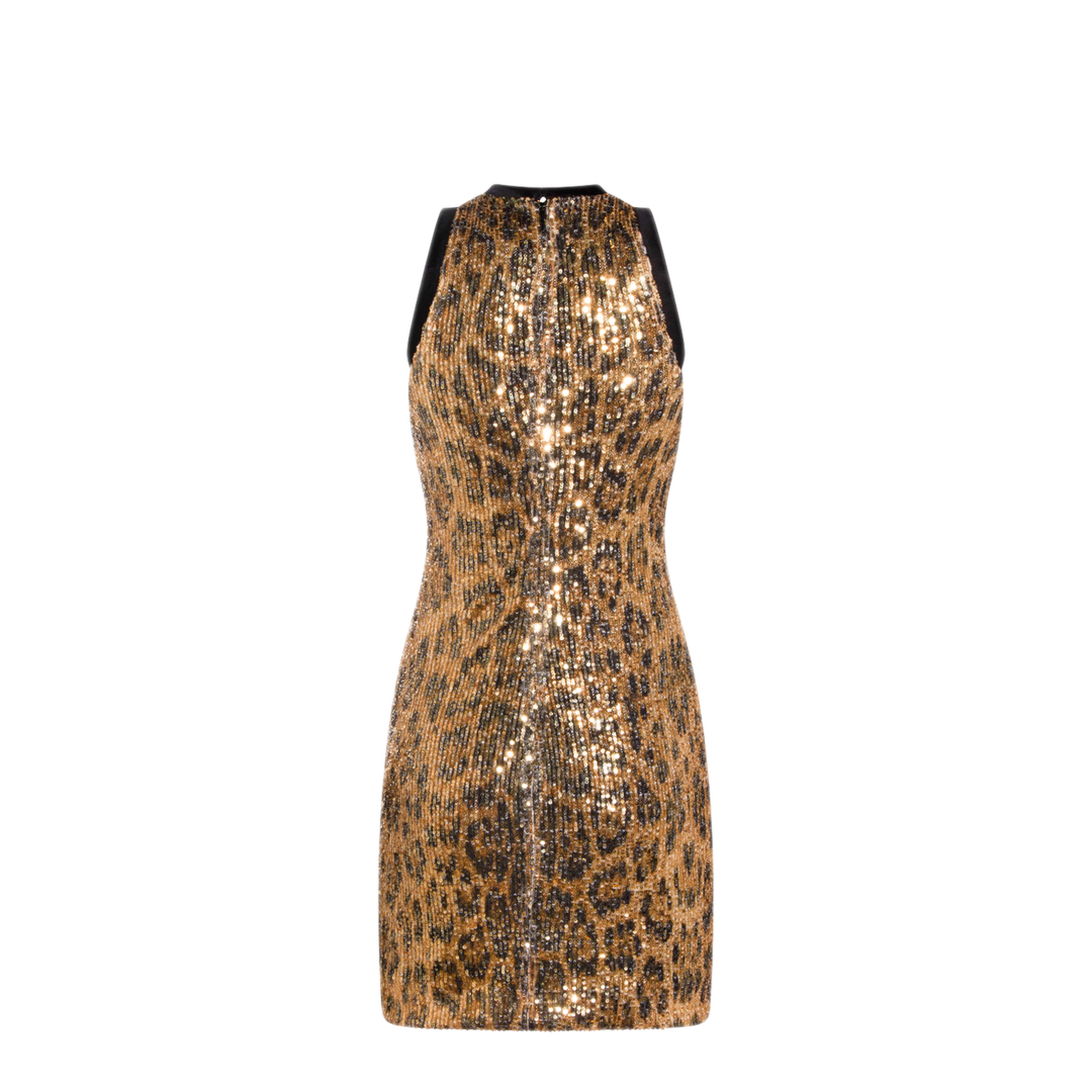 MAYFEYR - Roberto Cavalli - Dresses - WKT170VXQ7100504