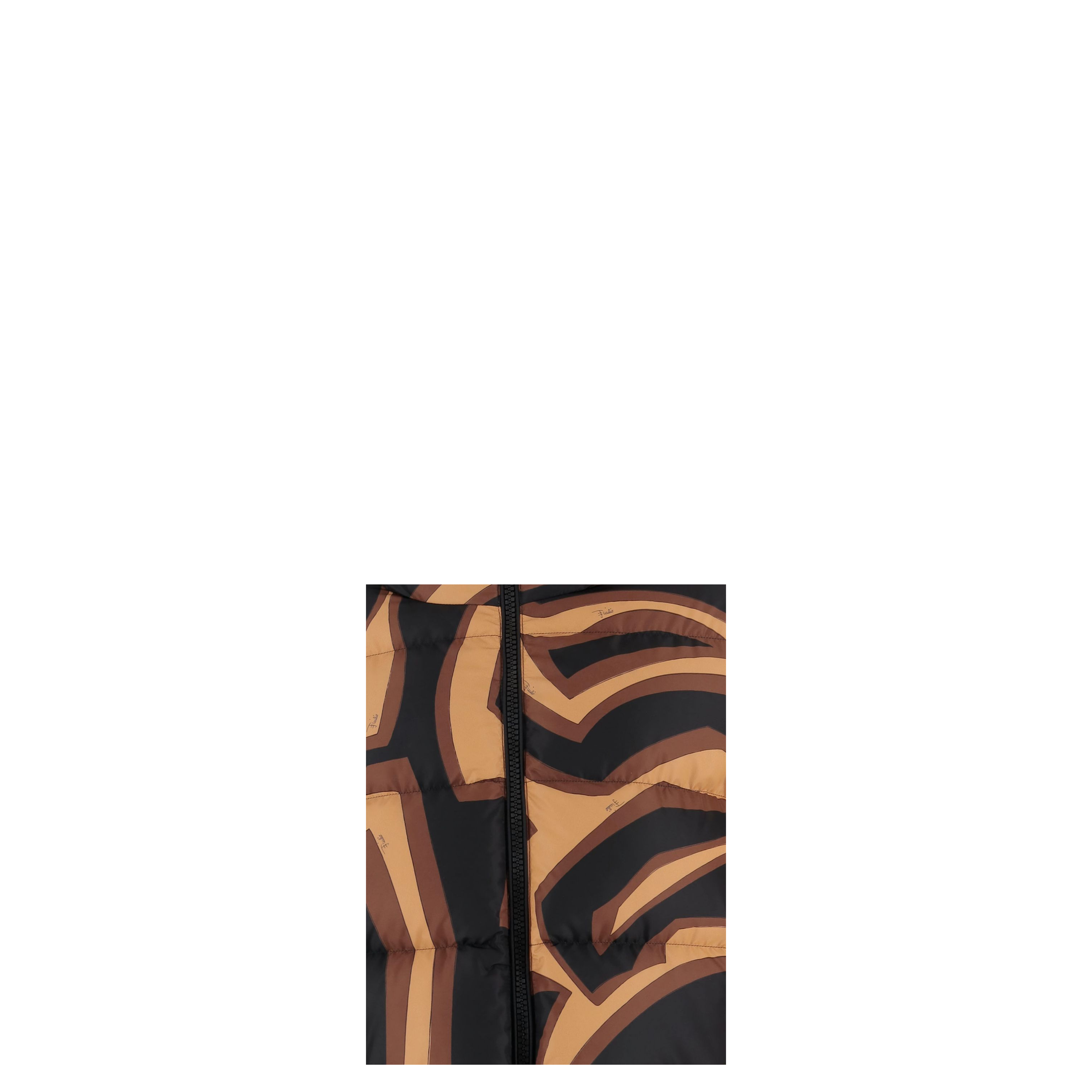 Printed Nylon Down Jacket In Brown