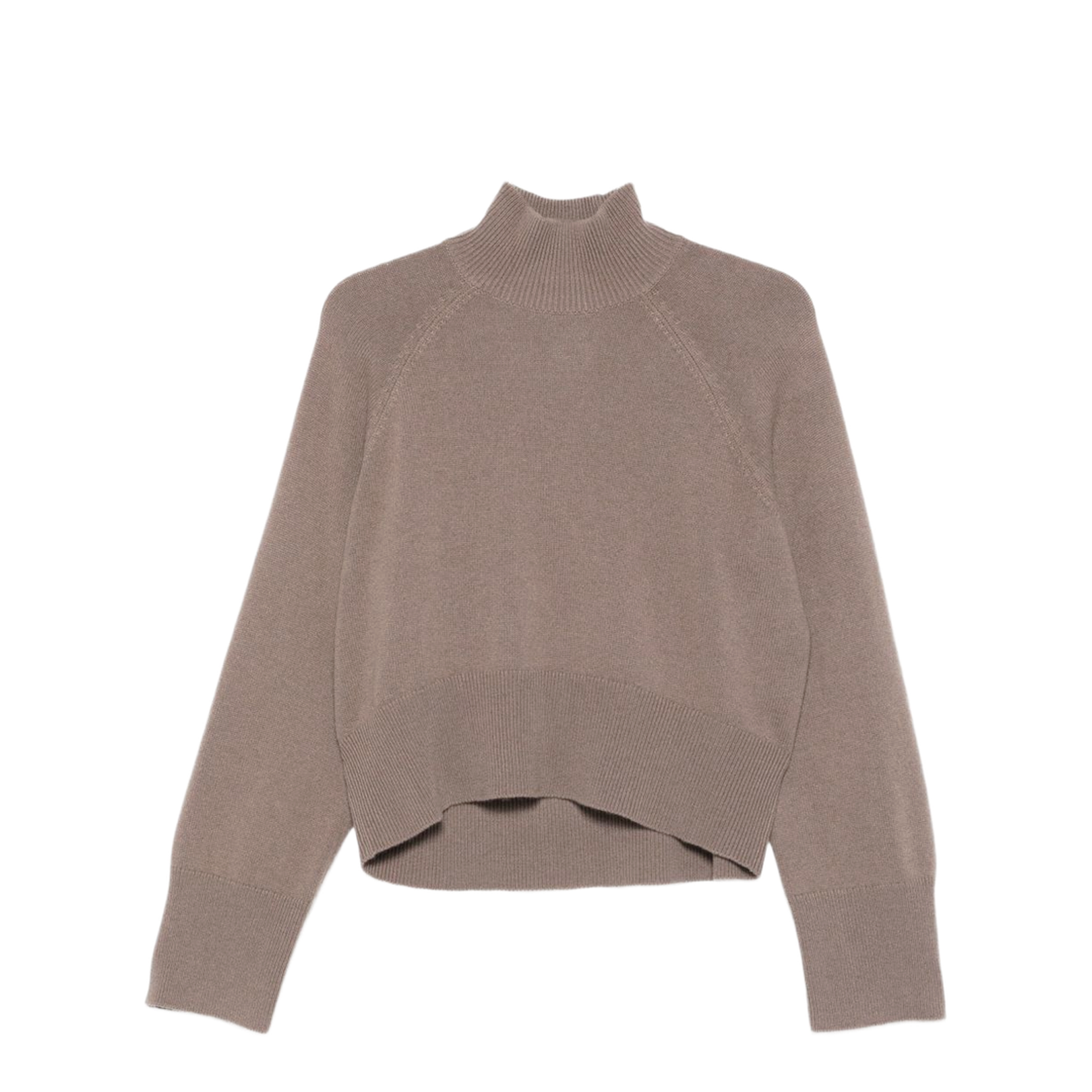 Cashmere Turtleneck Sweater