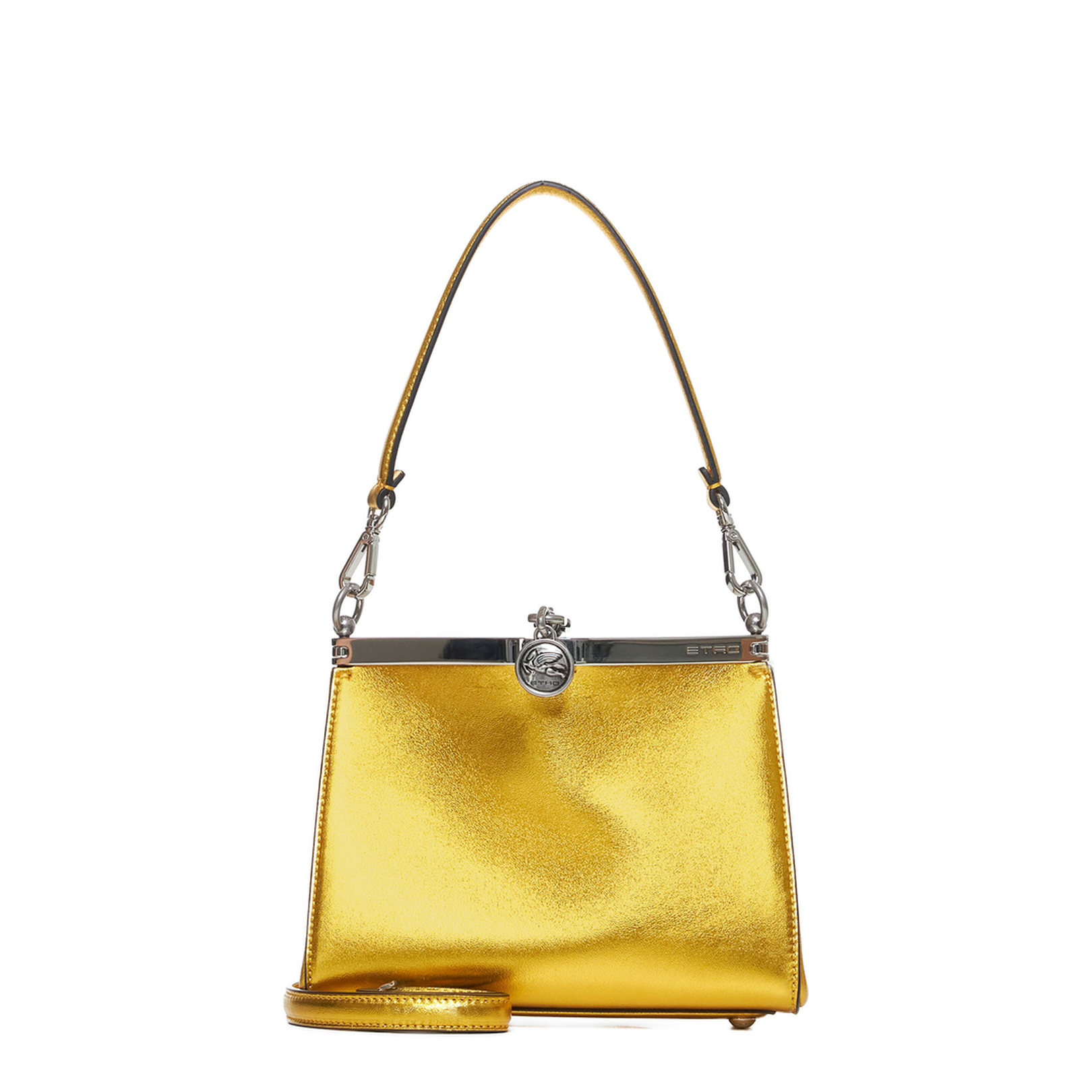 Small Laminated Bag