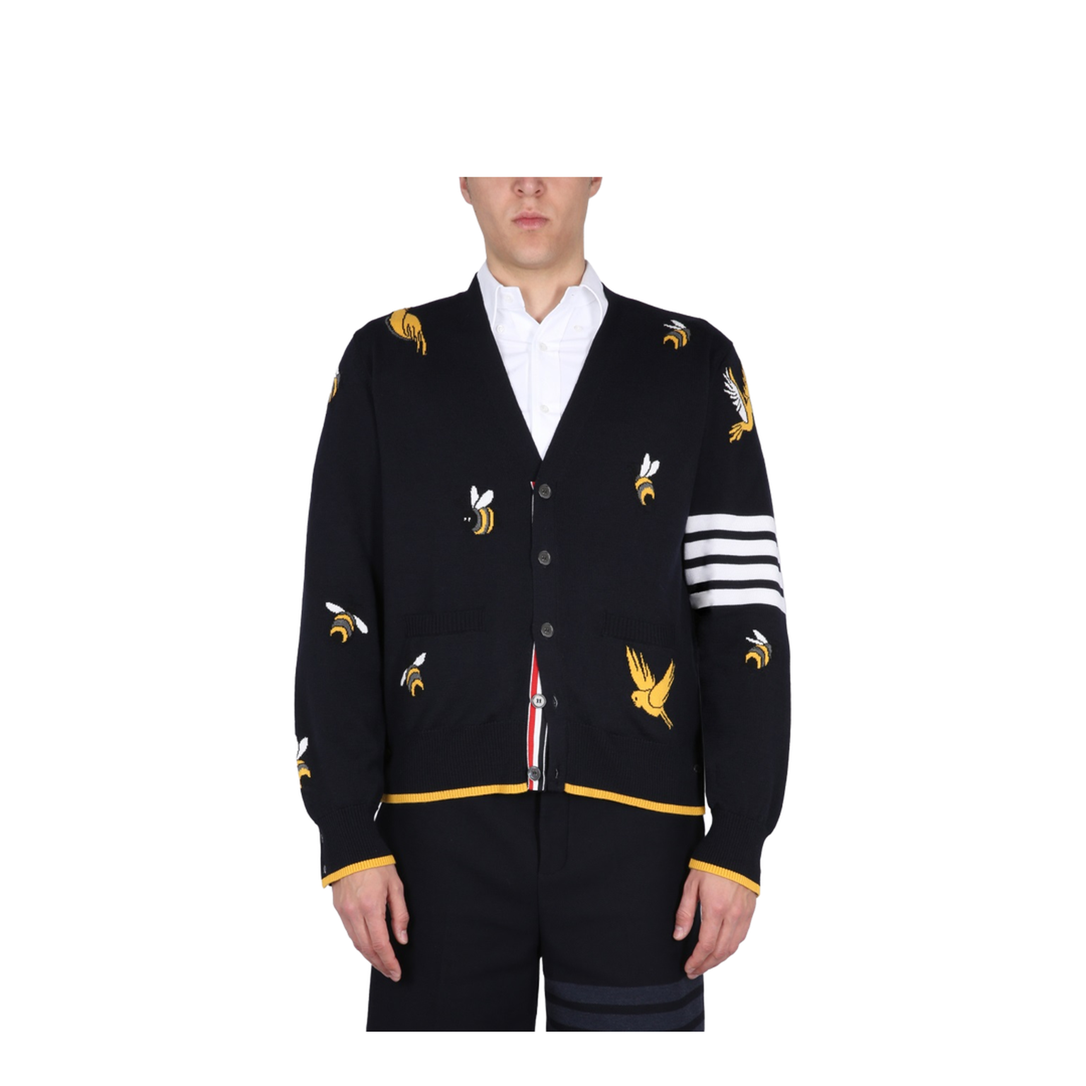 Cardigan with Birds and Bees Inlays