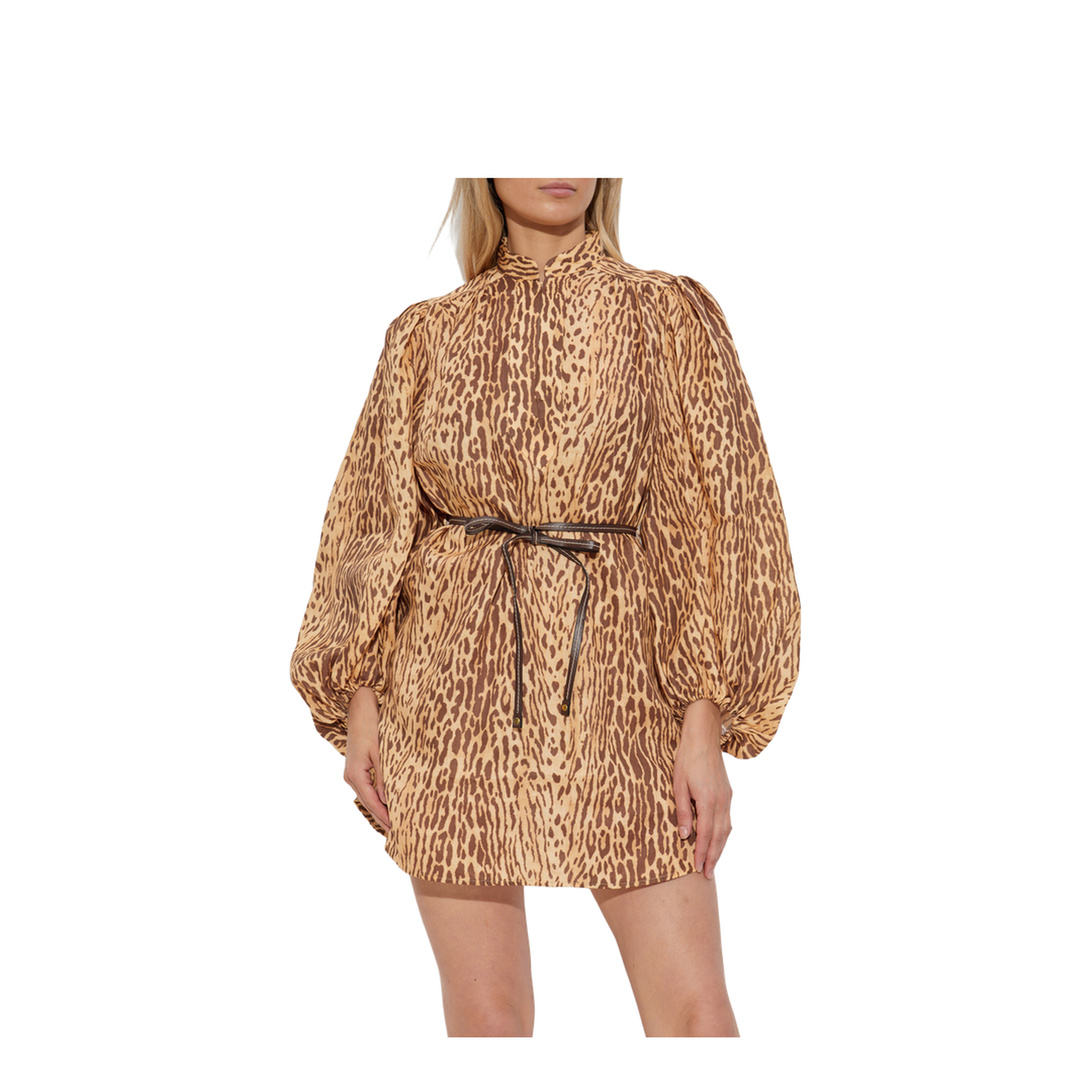 Animal Print Dress