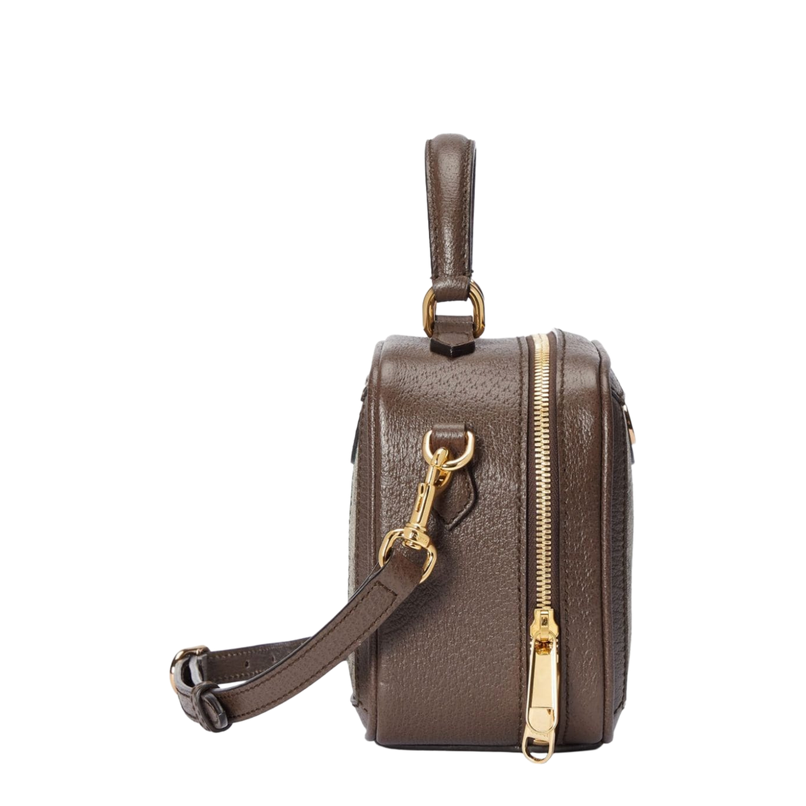 Mini Ophidia GG Handbag