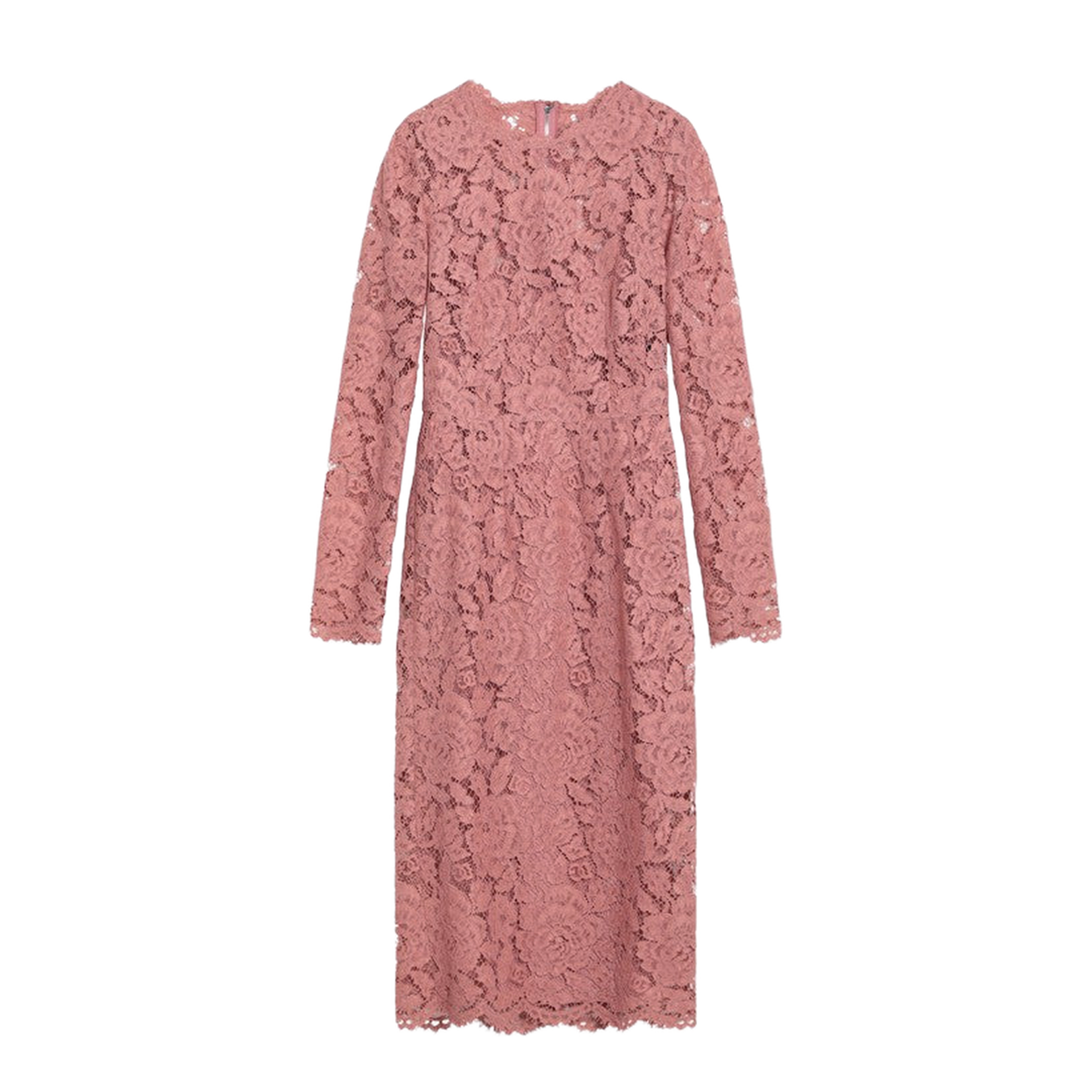 Powder Pink Floral Stretch Lace Pencil Dress