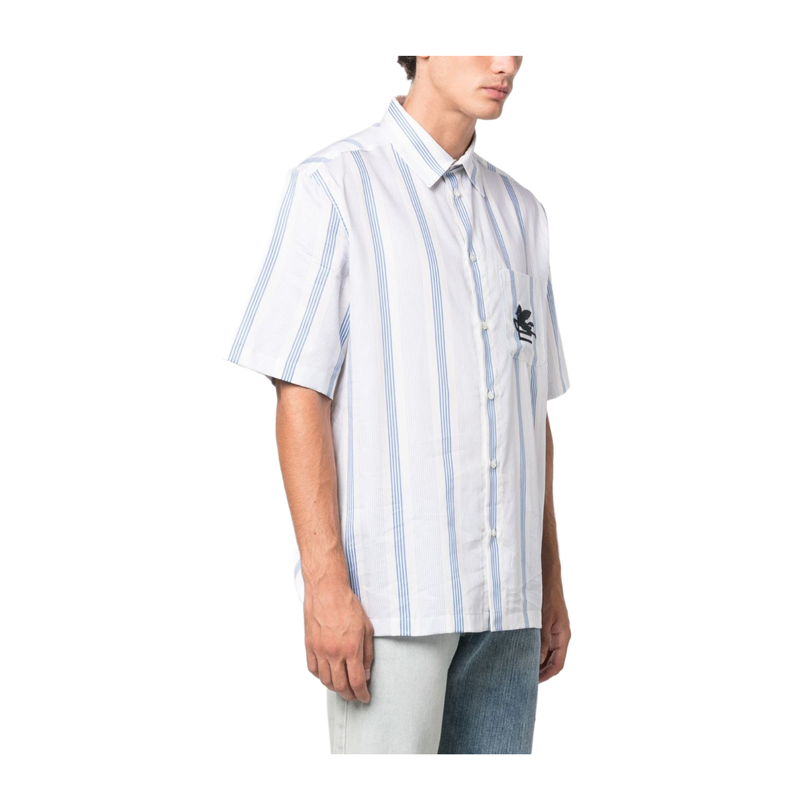 Blue Striped Embroidered Shirt