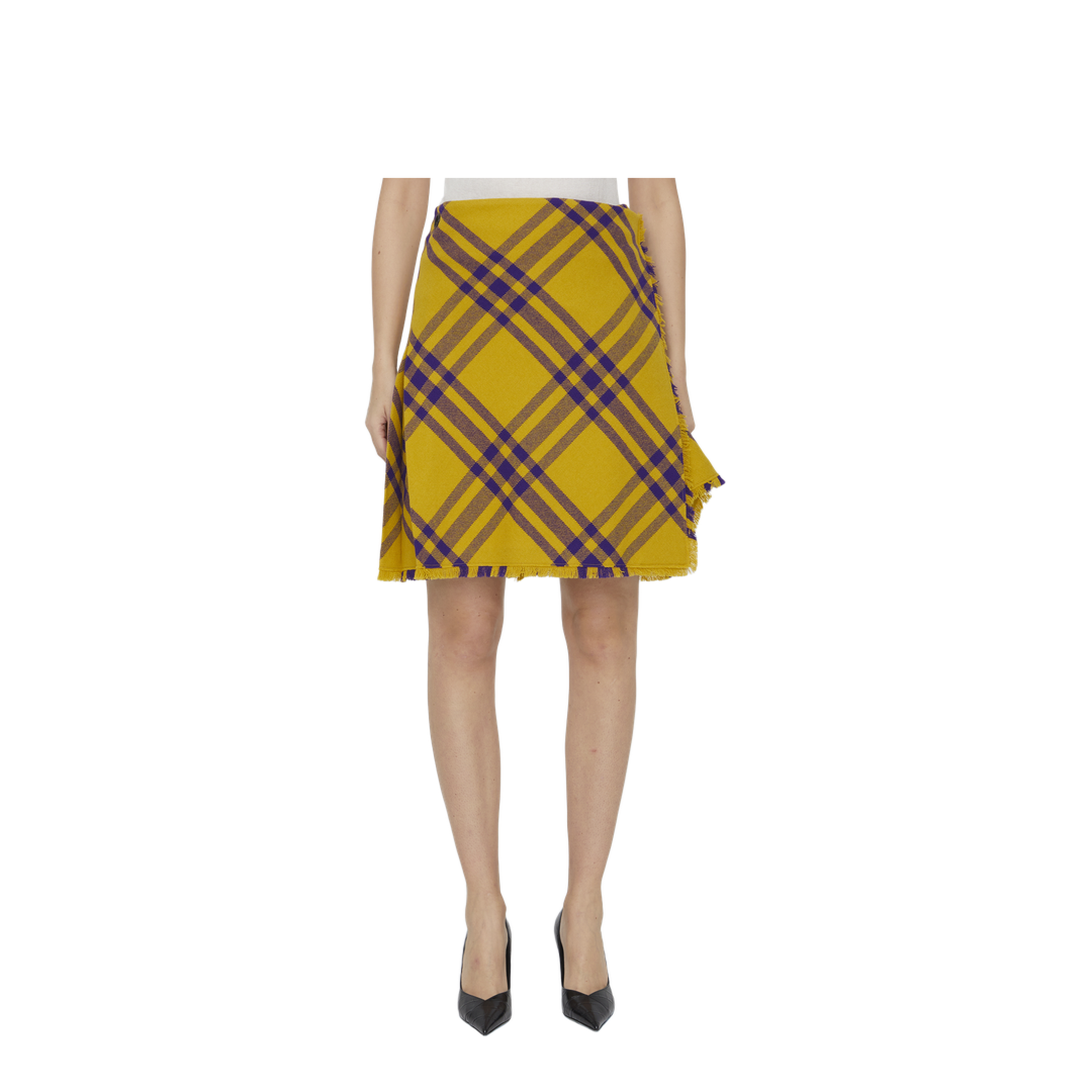 Embroidered Wool Skirt