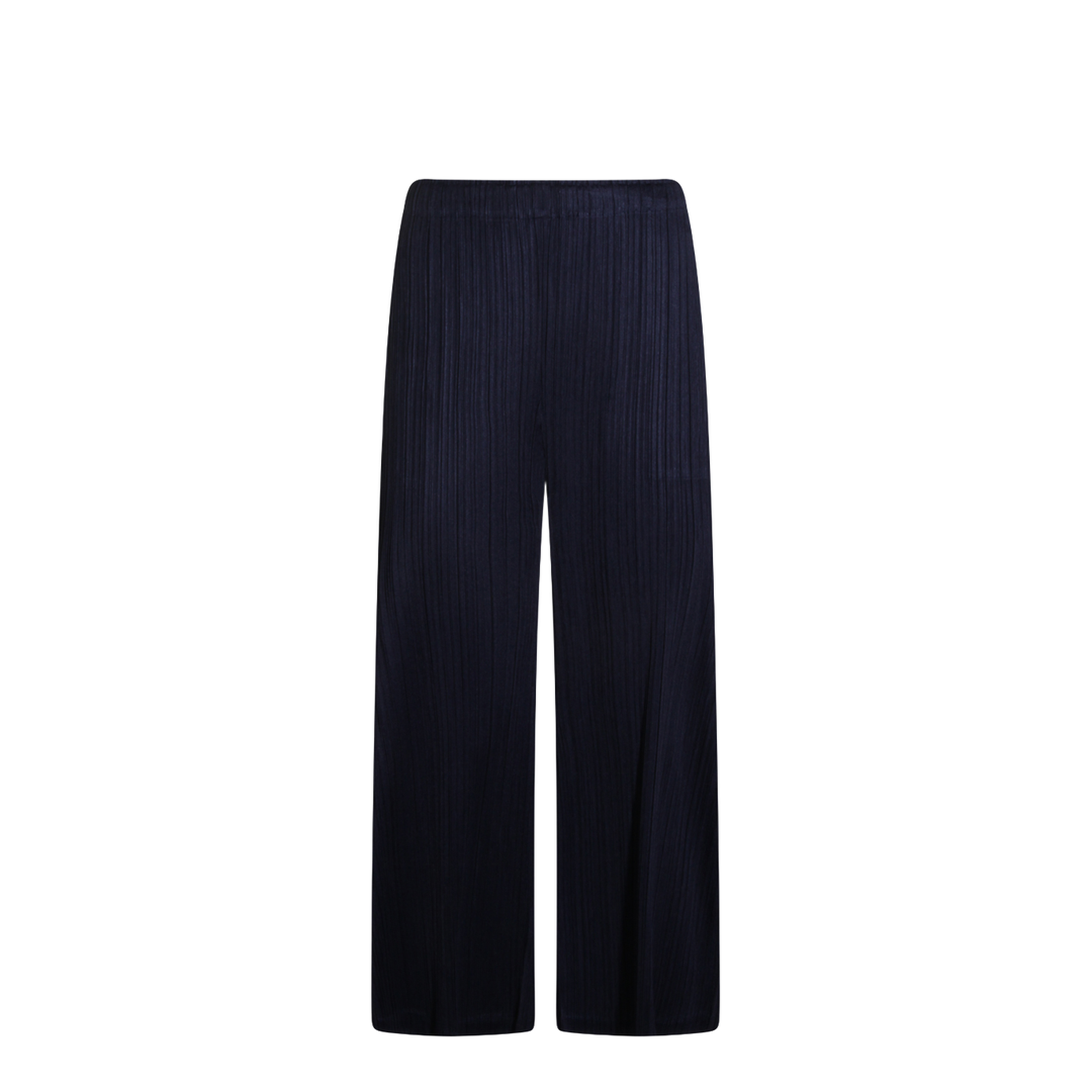 Pleated Pants