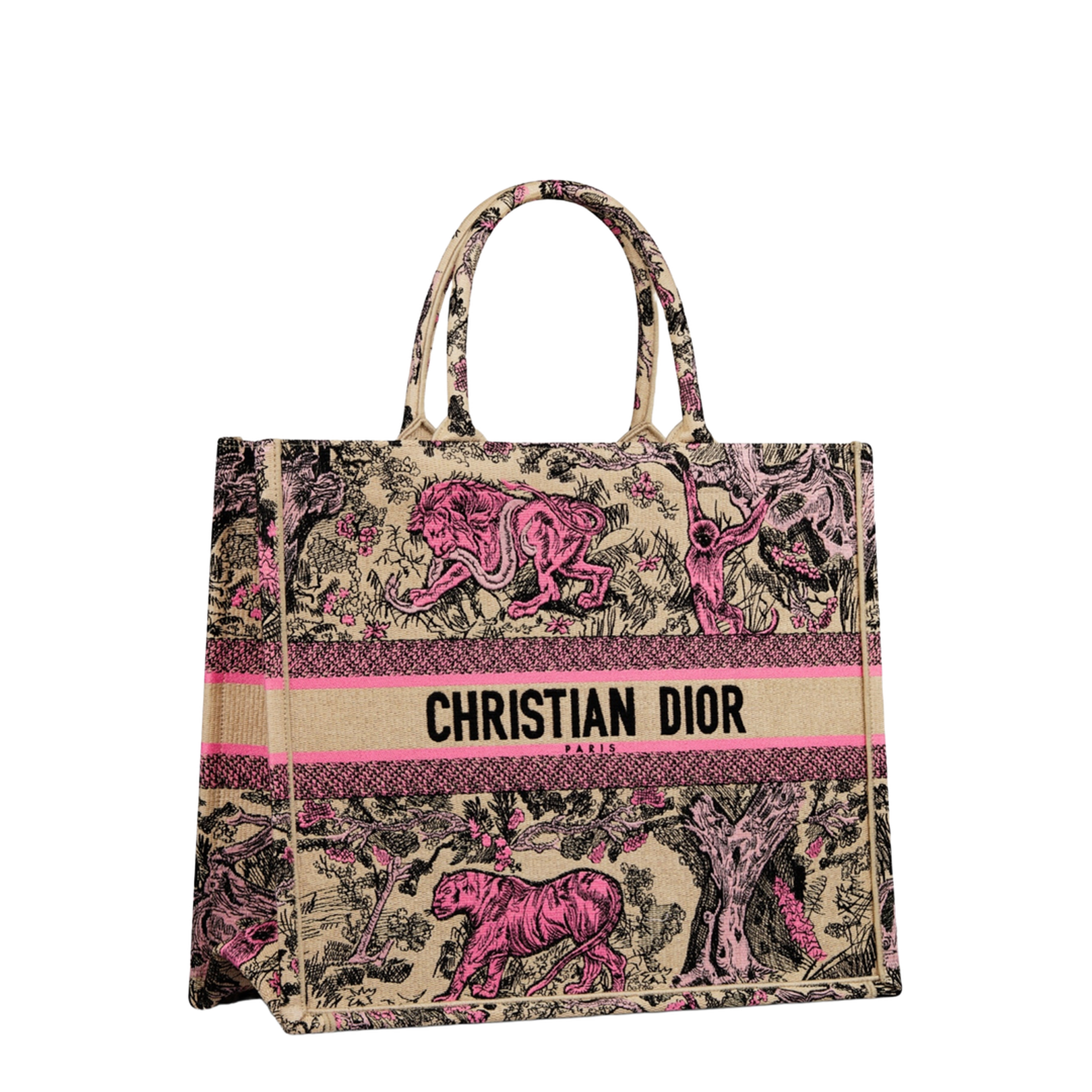 Large Book Tote