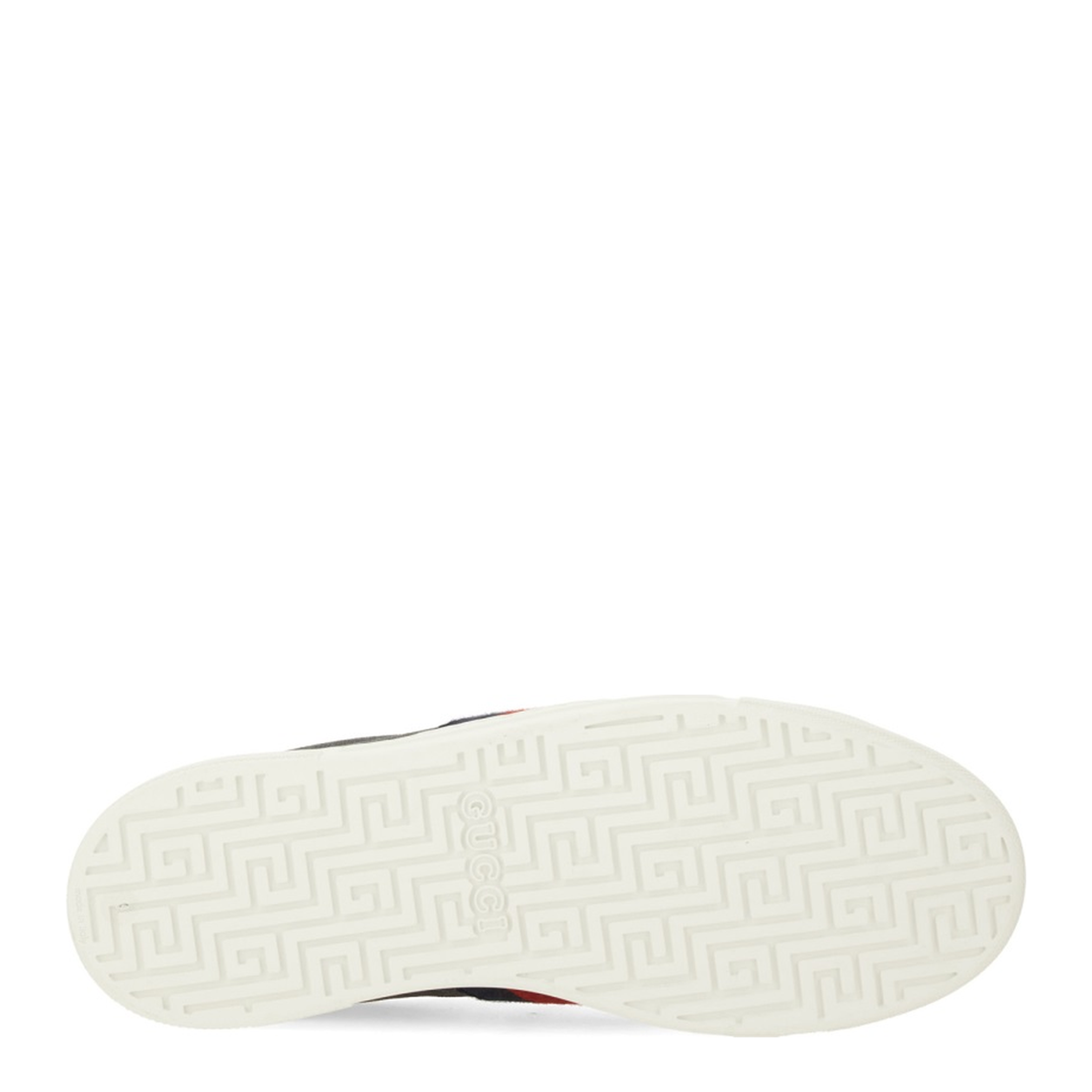 Ace Trainer with Web