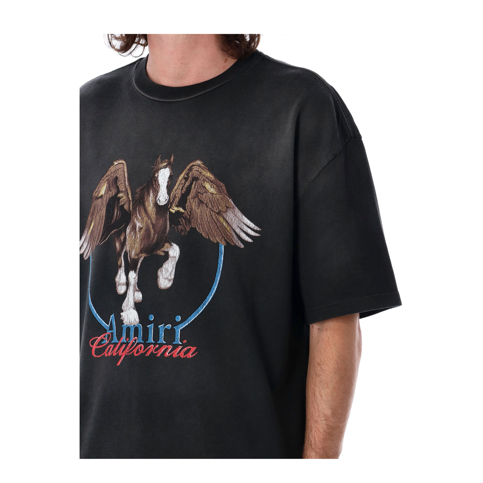 Pegasus T-Shirt