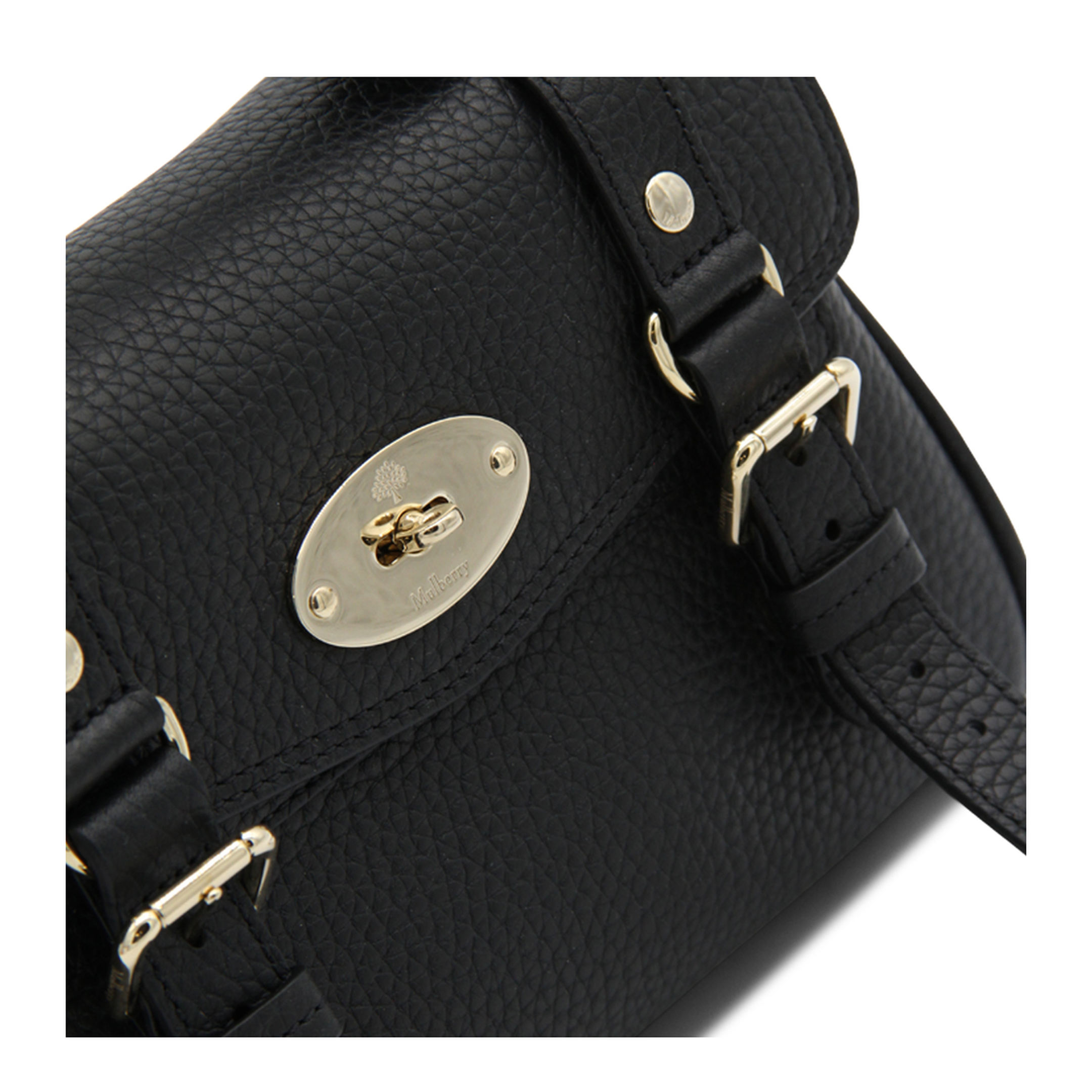 Alexa Mini Grainy Leather Bag