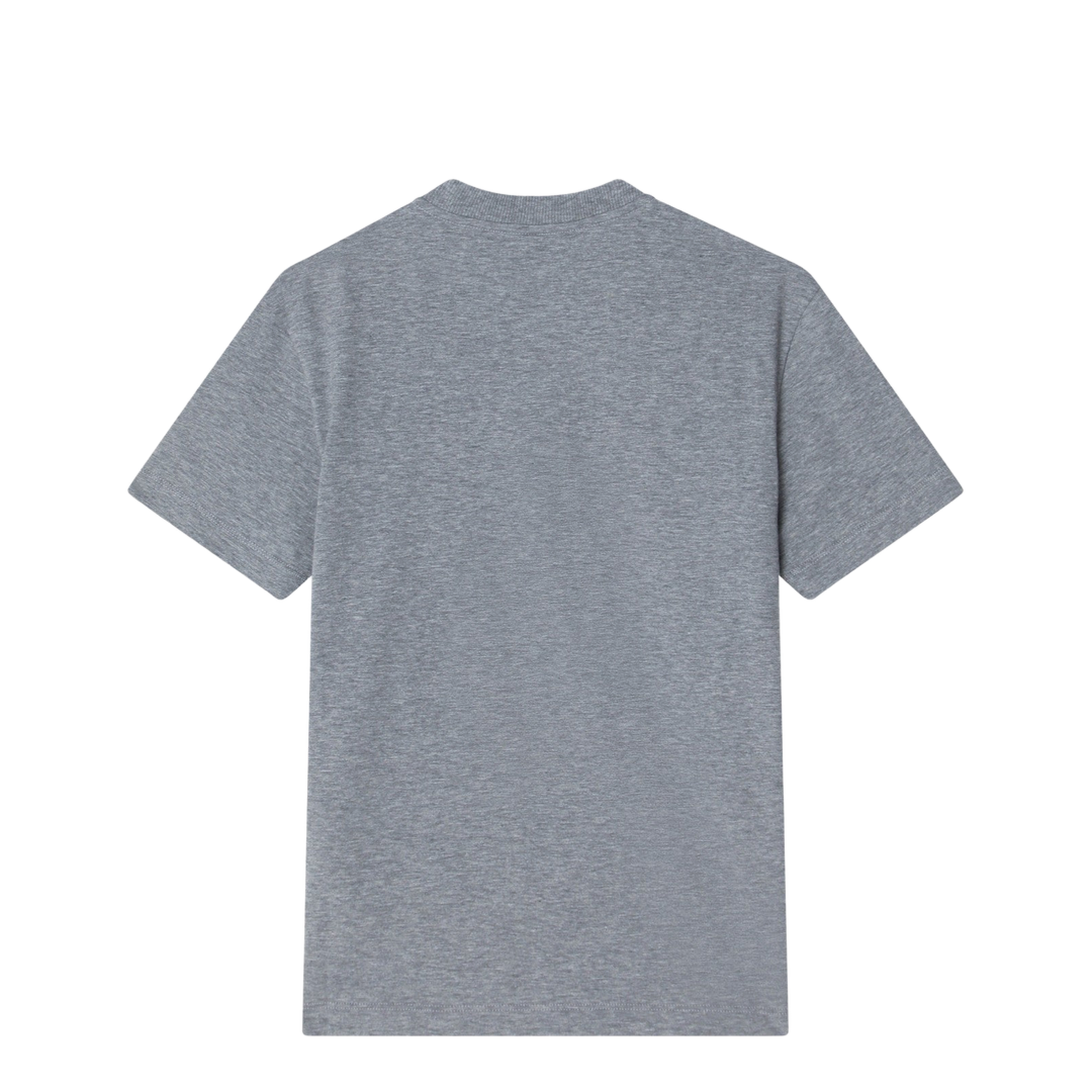 T-Shirt Cotton Grey