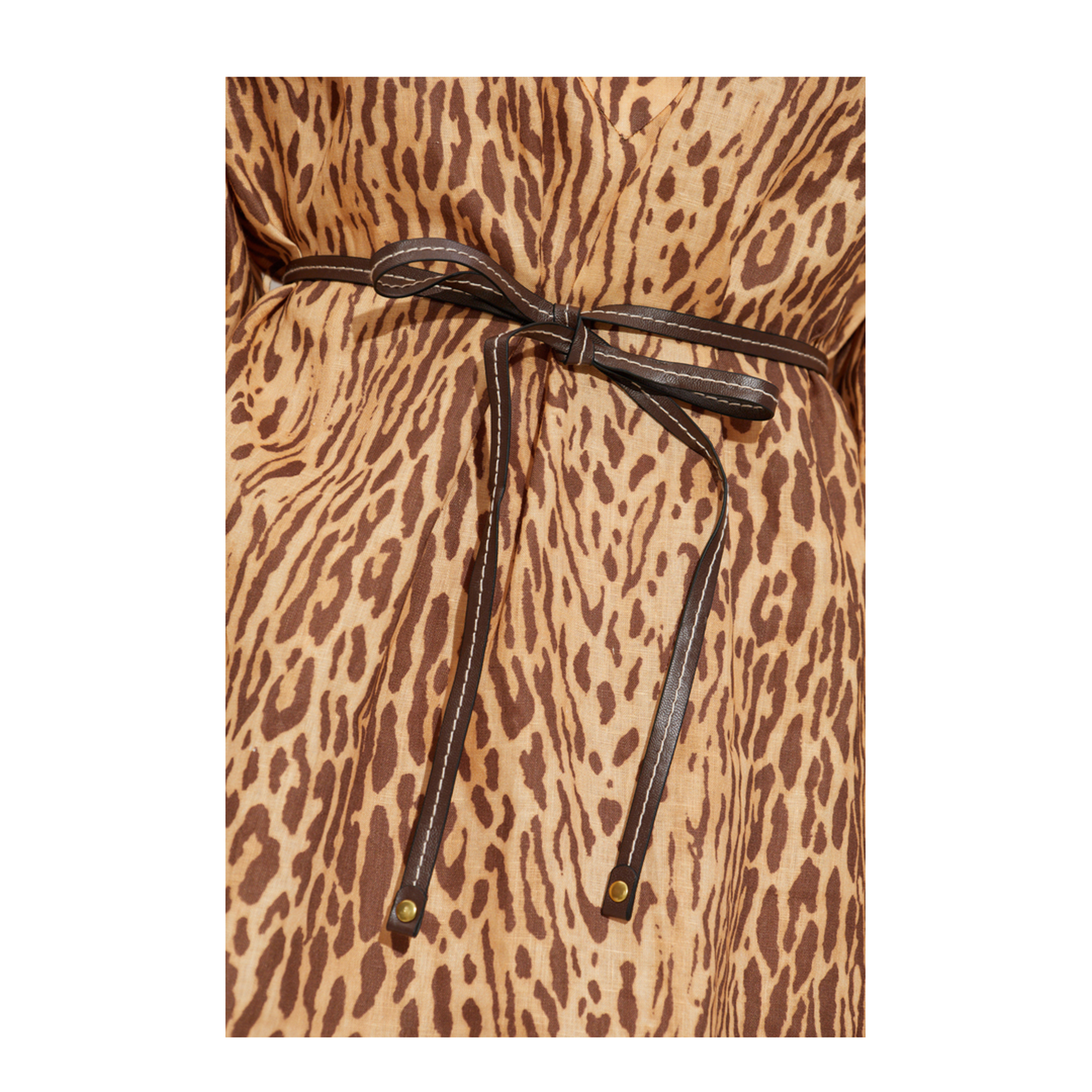 Animal Print Dress