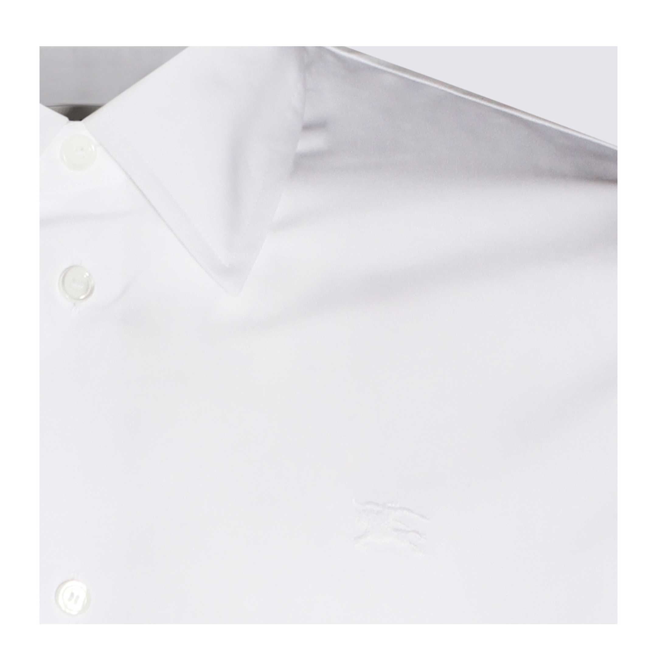 Organic Cotton Shirt