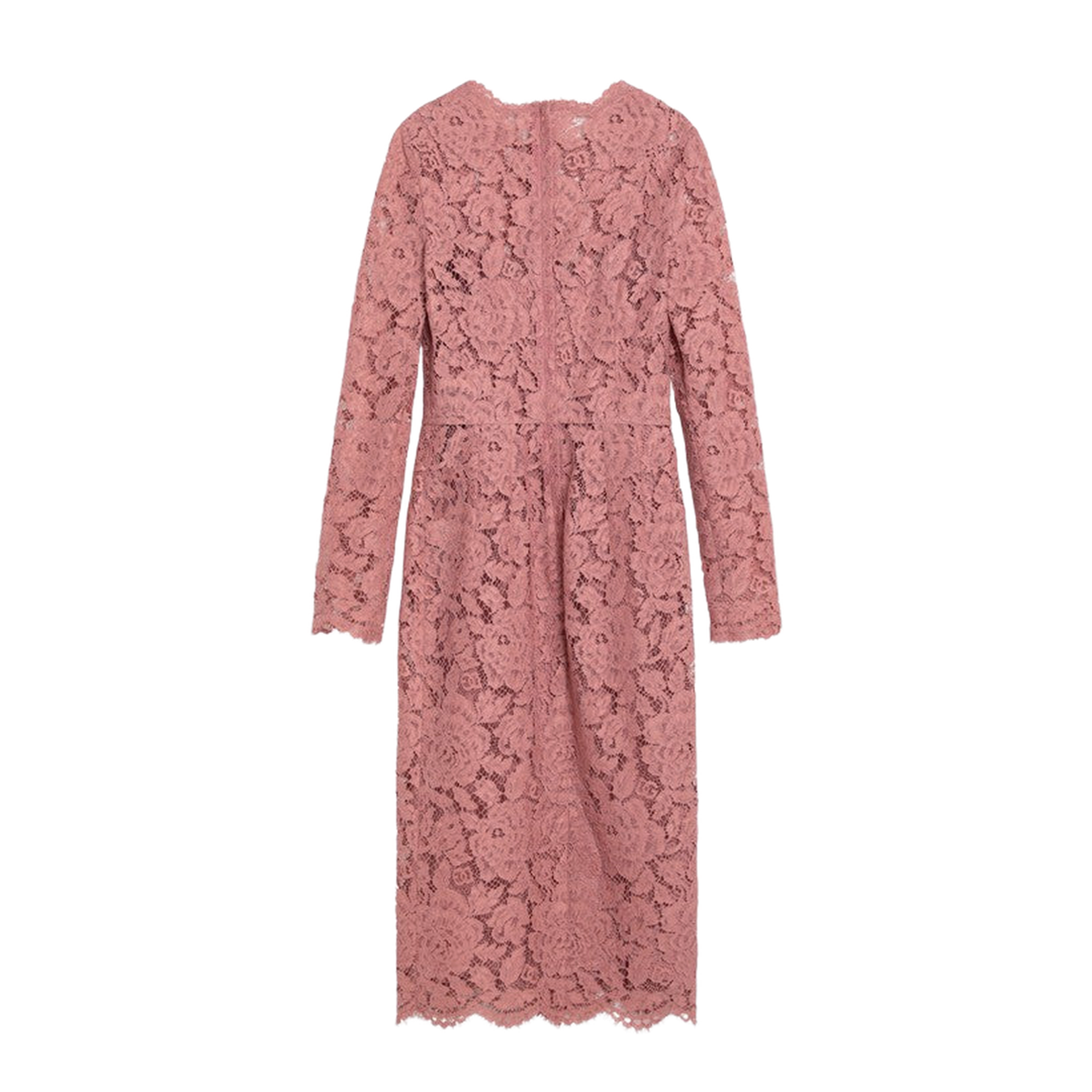 Powder Pink Floral Stretch Lace Pencil Dress