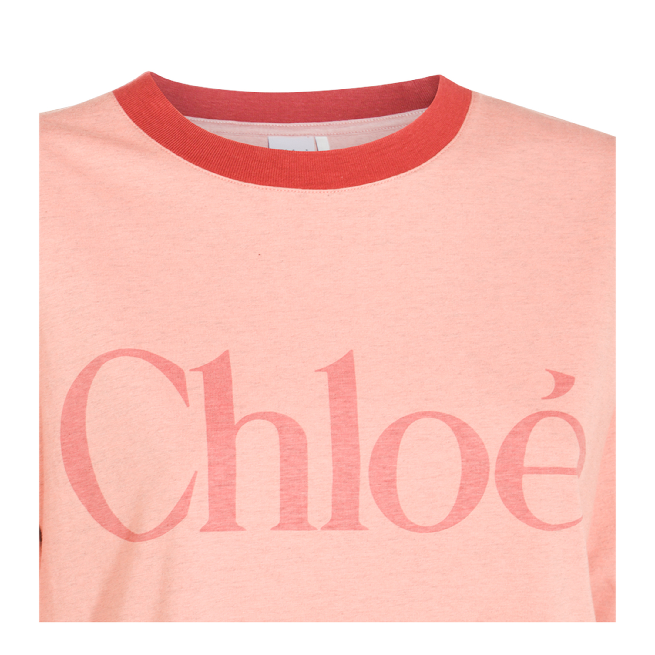 T-Shirts And Polos