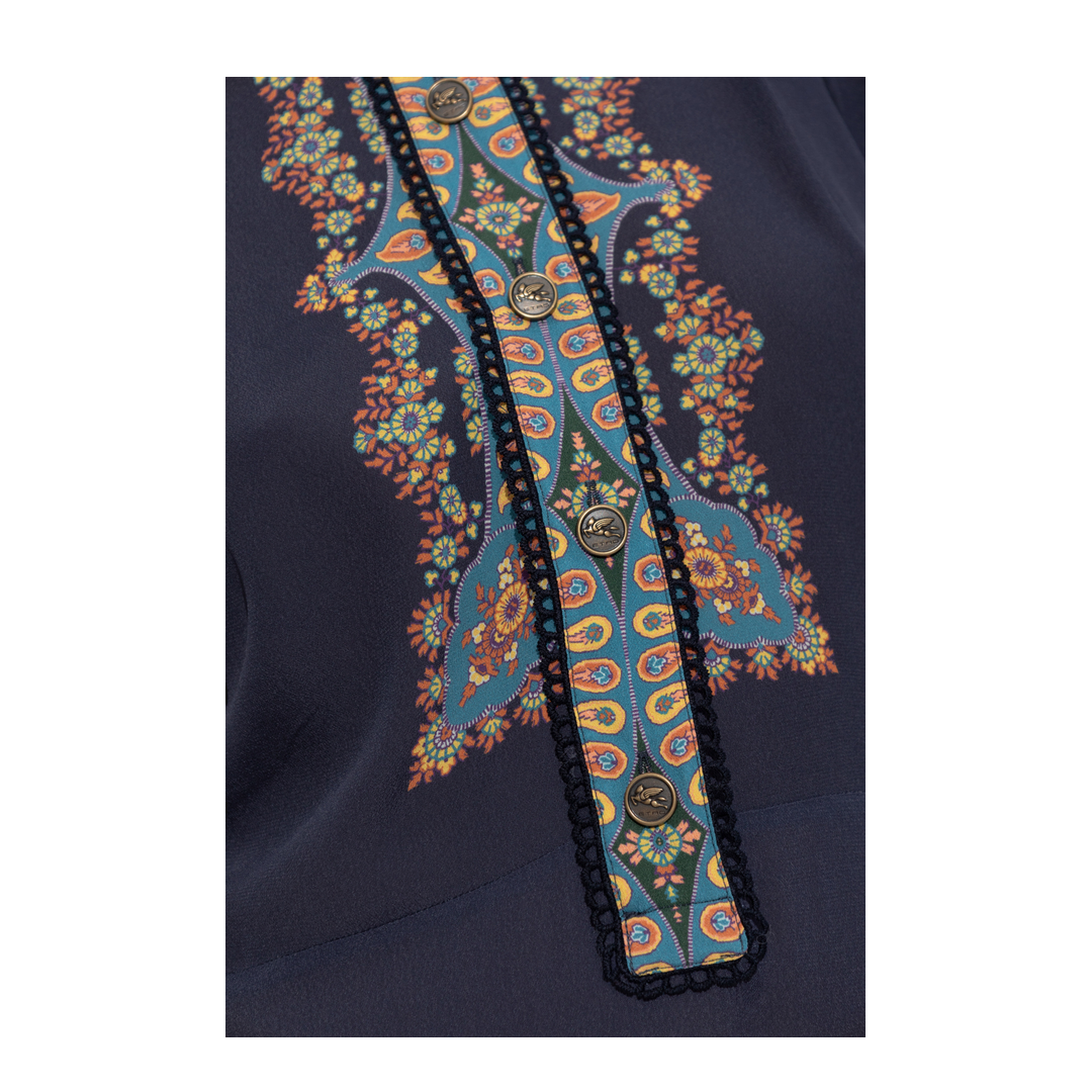 Placed Floral Paisley Print Midi Dress