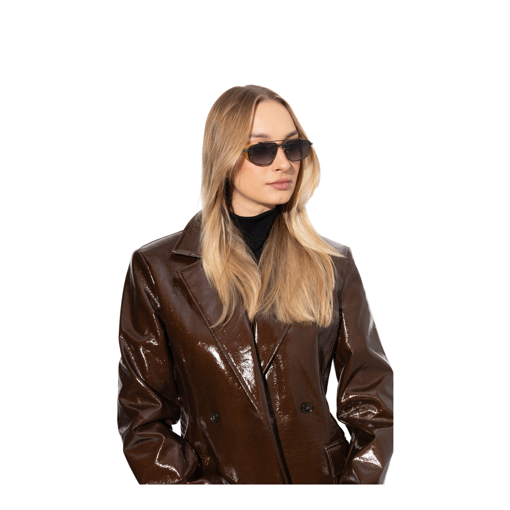 Sunglasses Brigade V