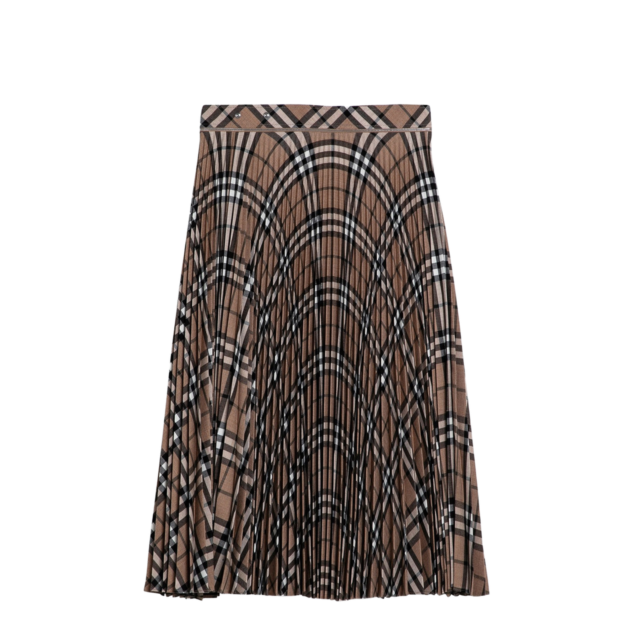 Pleated Skirt