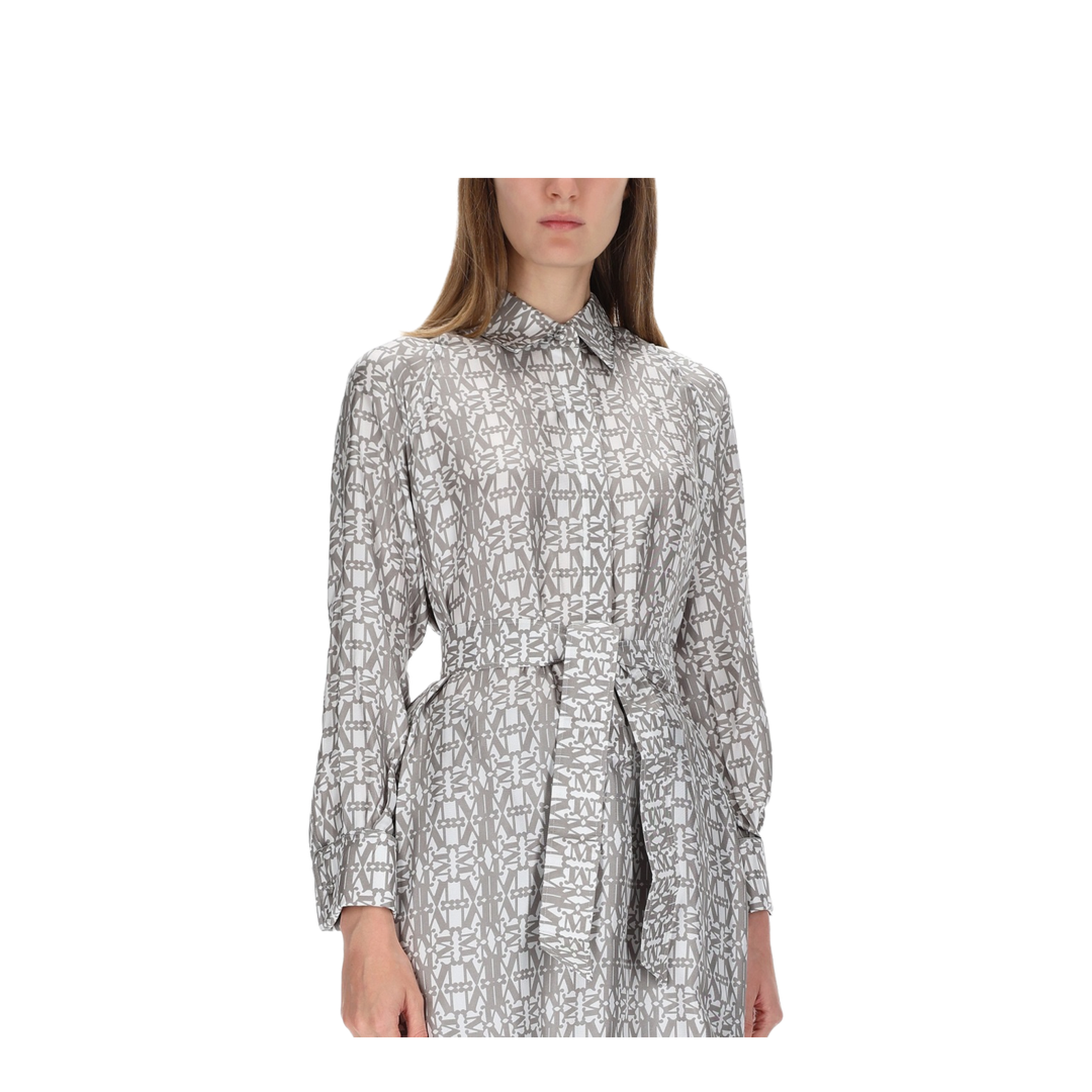 Printed Silk Chemisier Dress