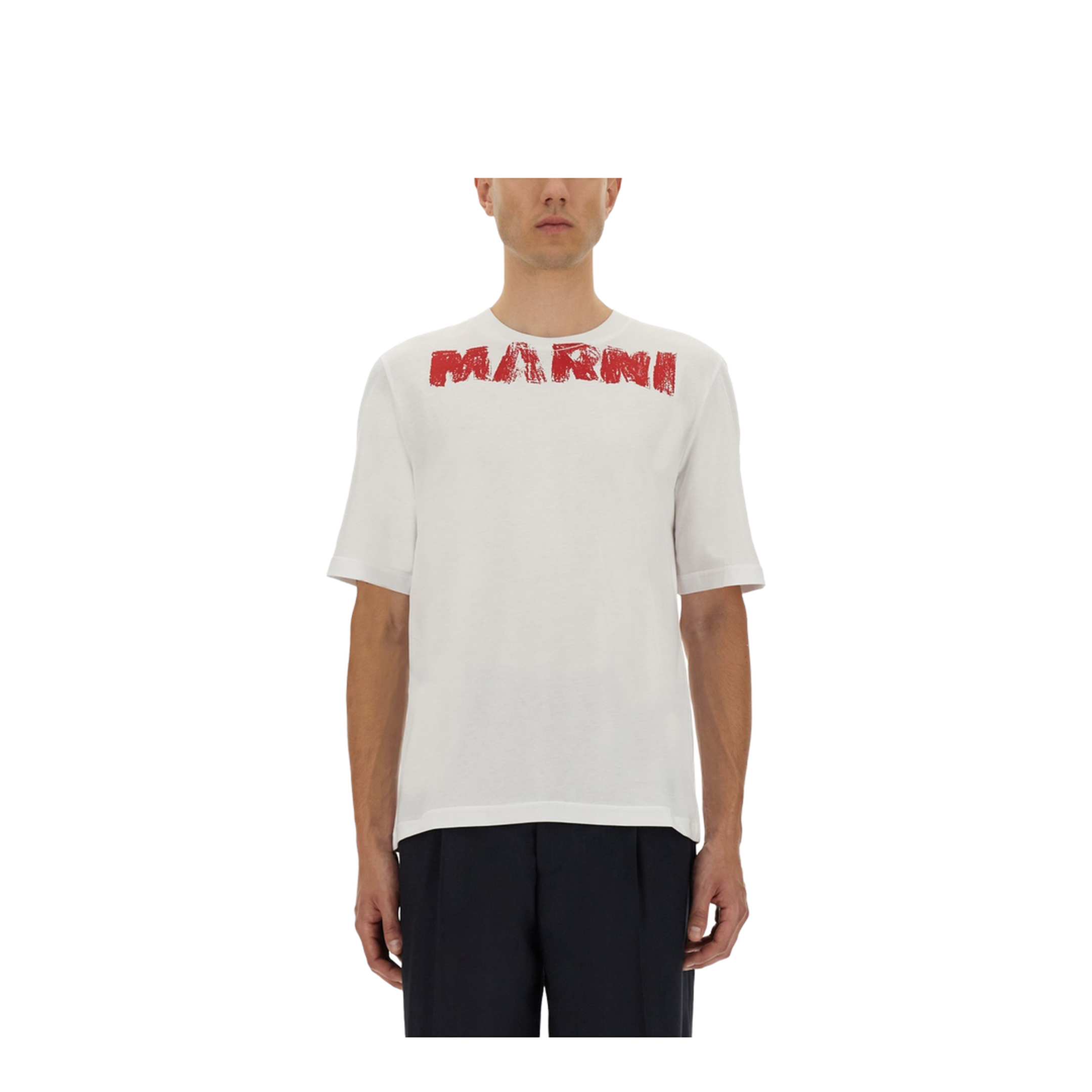 Cotton T-Shirt with Maxi Print