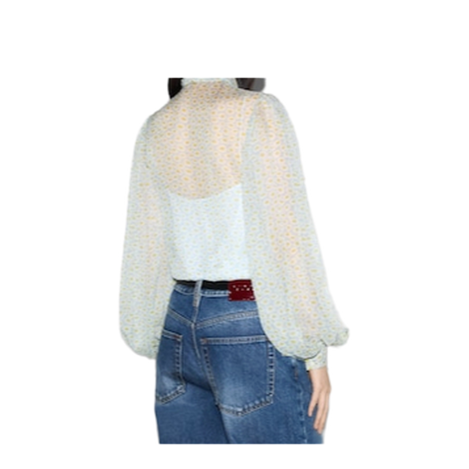 Printed Silk Chiffon Shirt in Multicolor