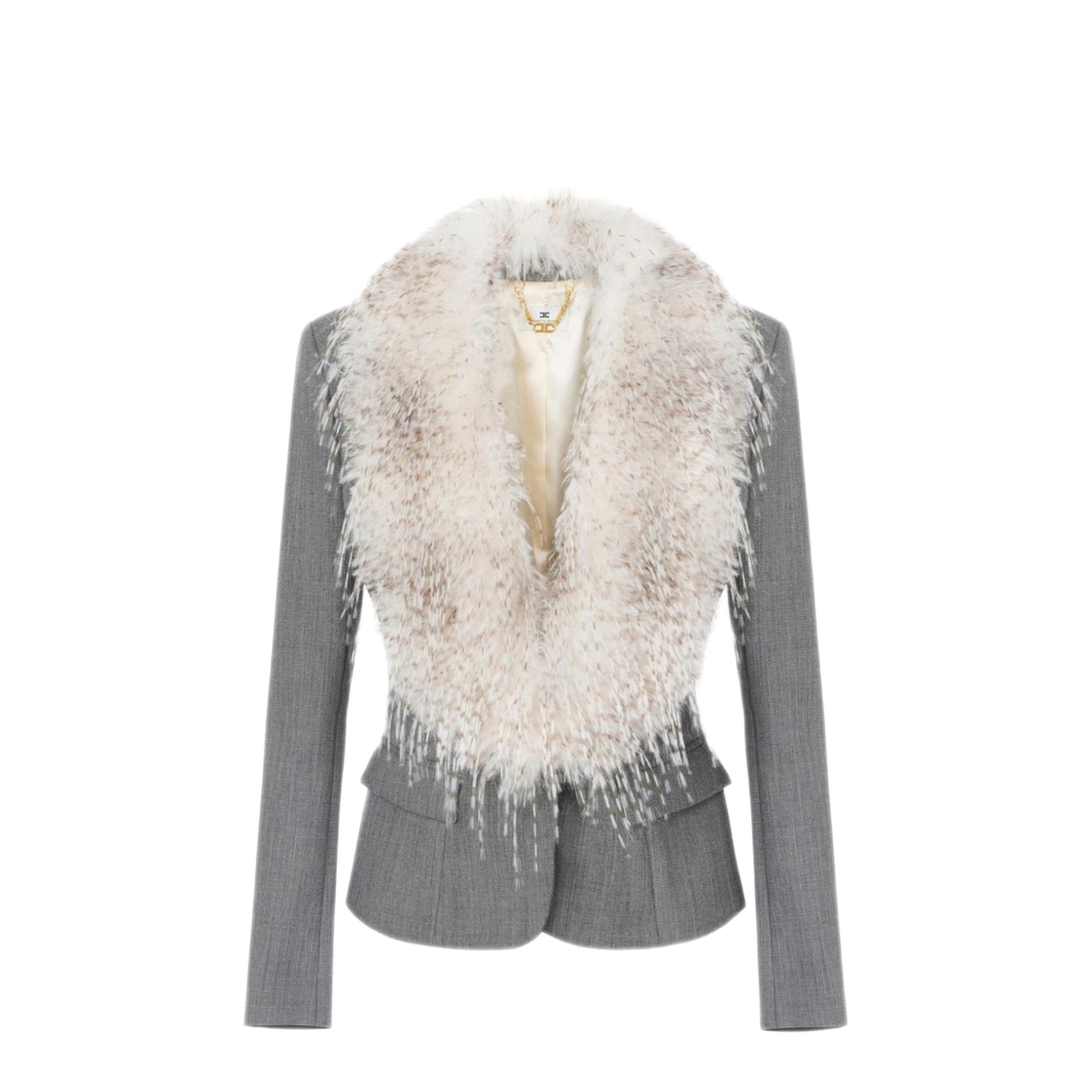 MAYFEYR - Elisabetta Franchi - Jackets Grey - GI28967E2431