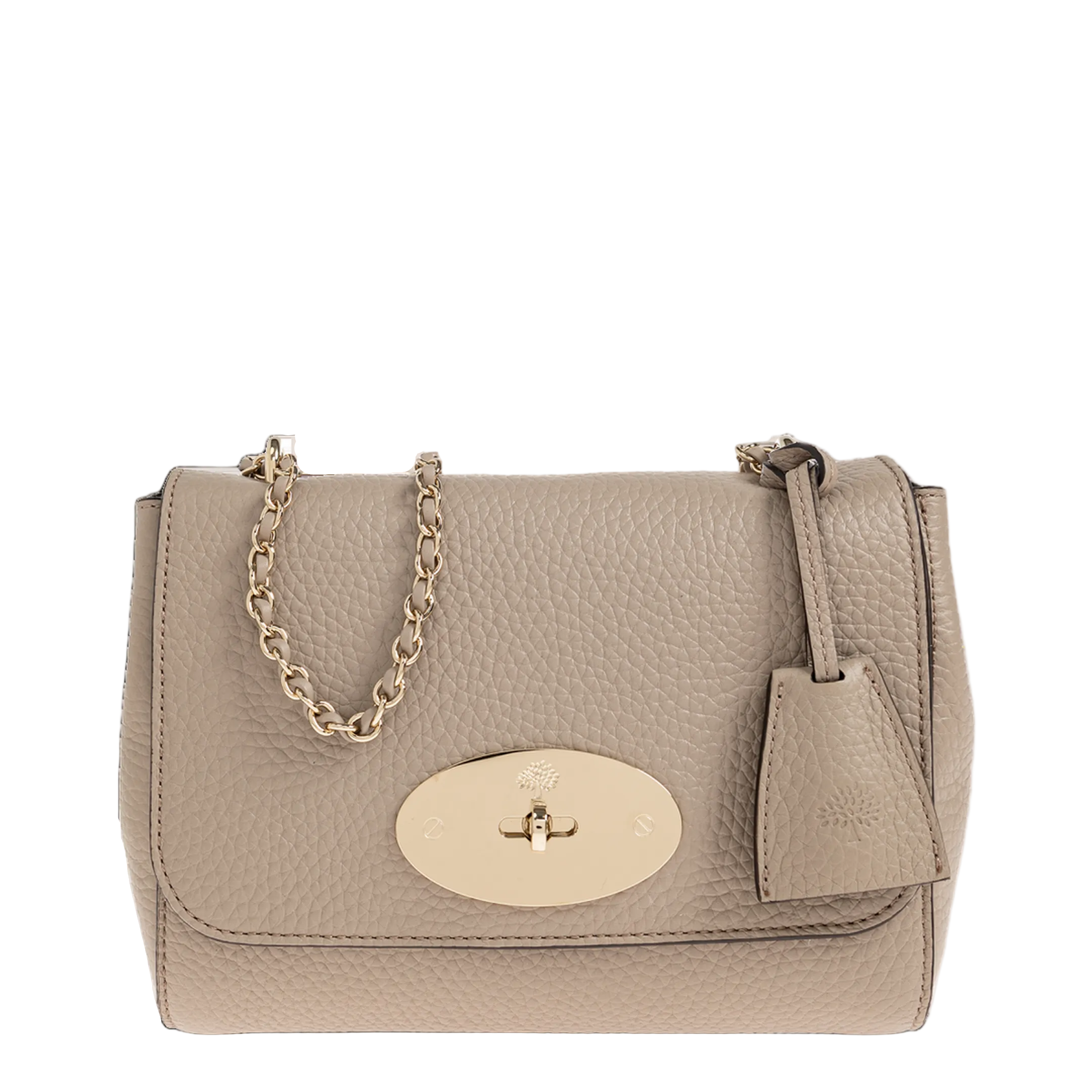 Small Babyswater Satchel Bag