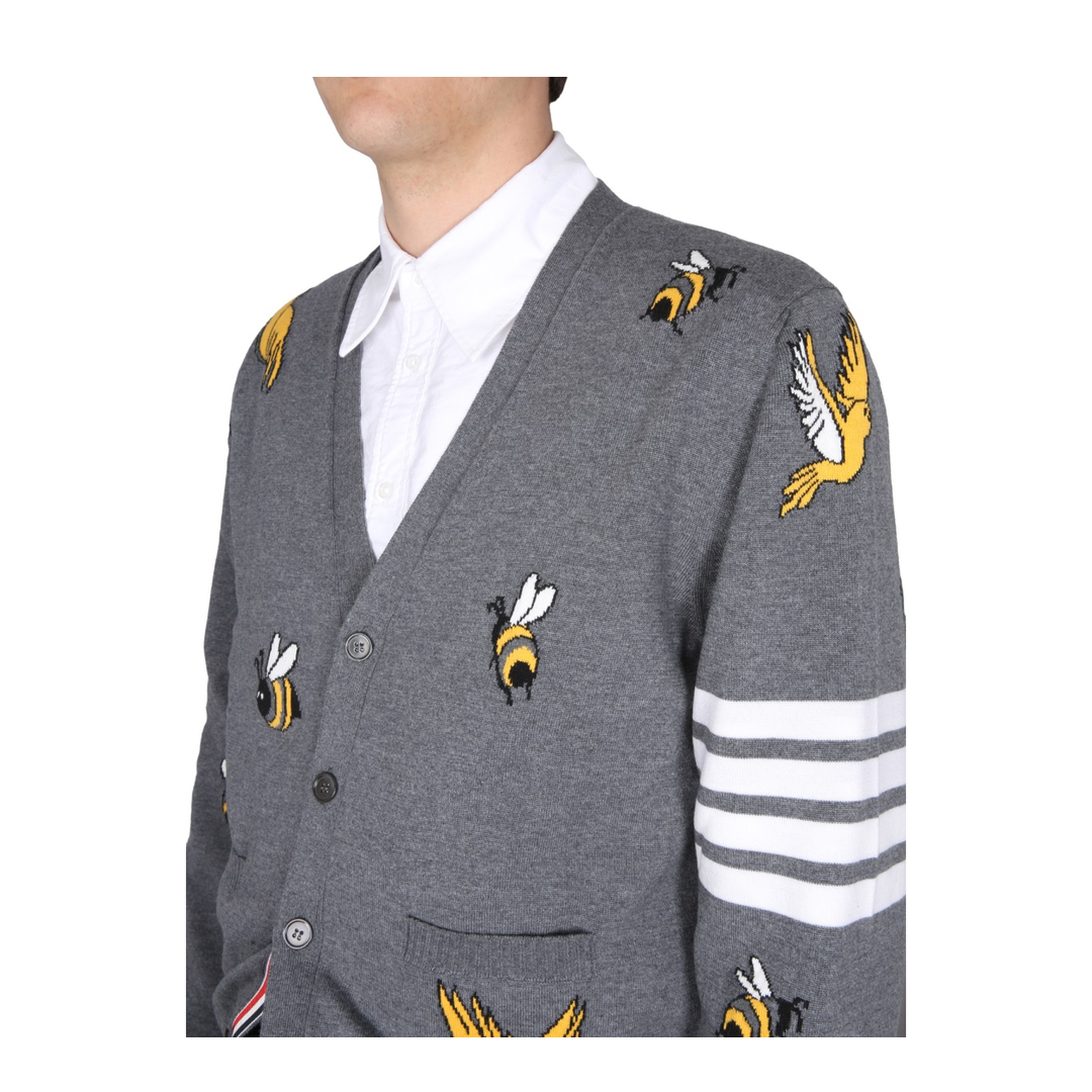 Cardigan with Birds and Bees Inlays