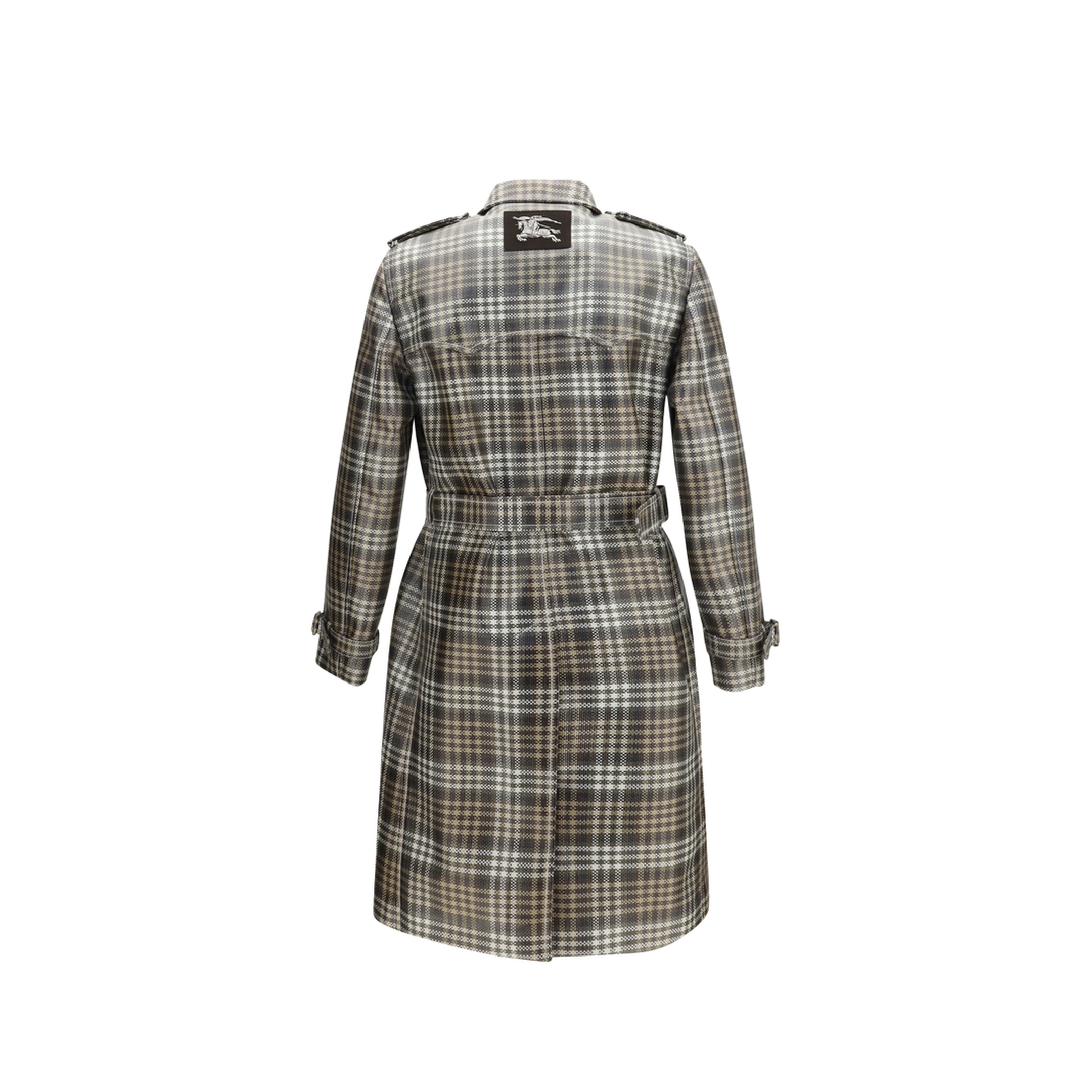 Brown And White Foxfield Trench