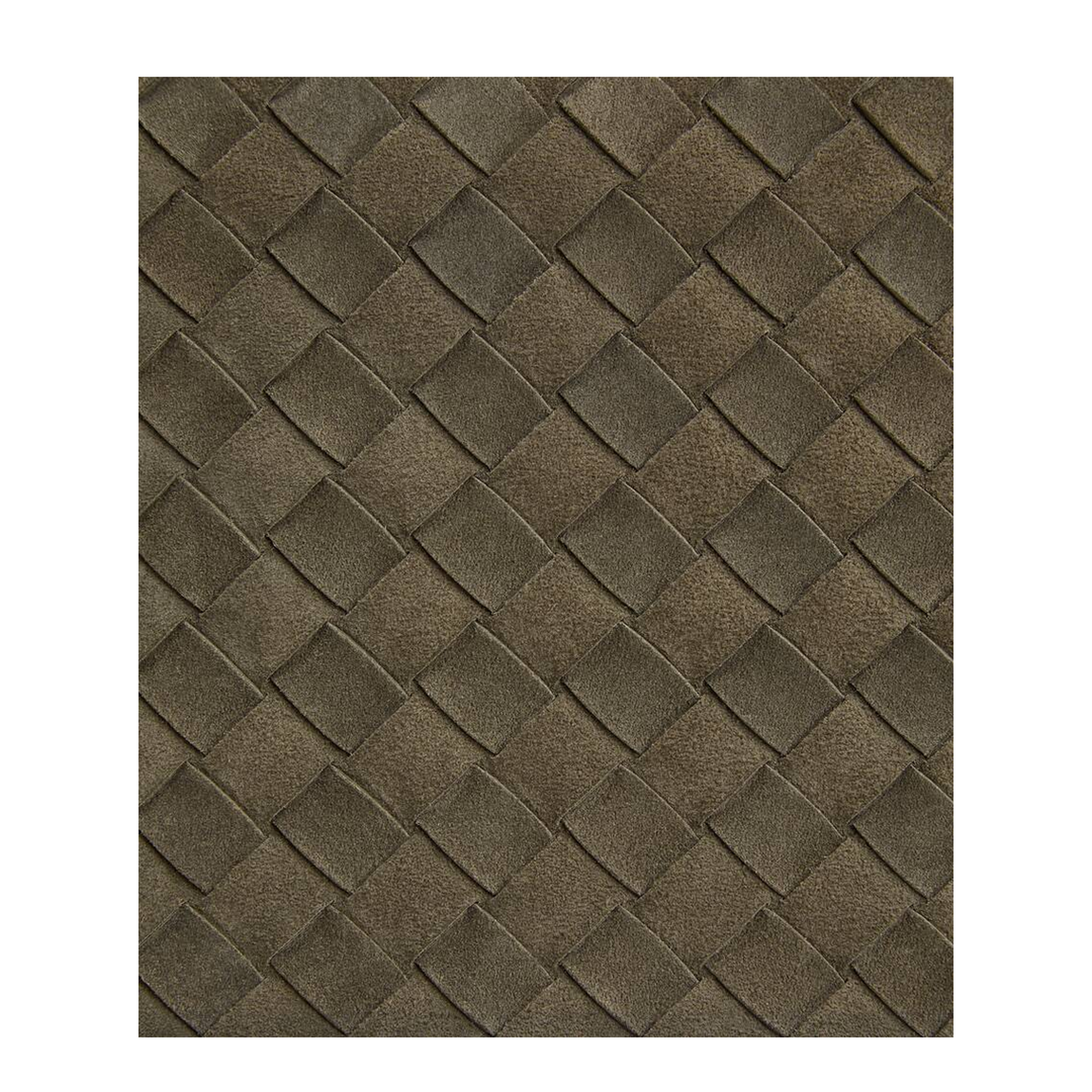 Large Parachute in Cypress