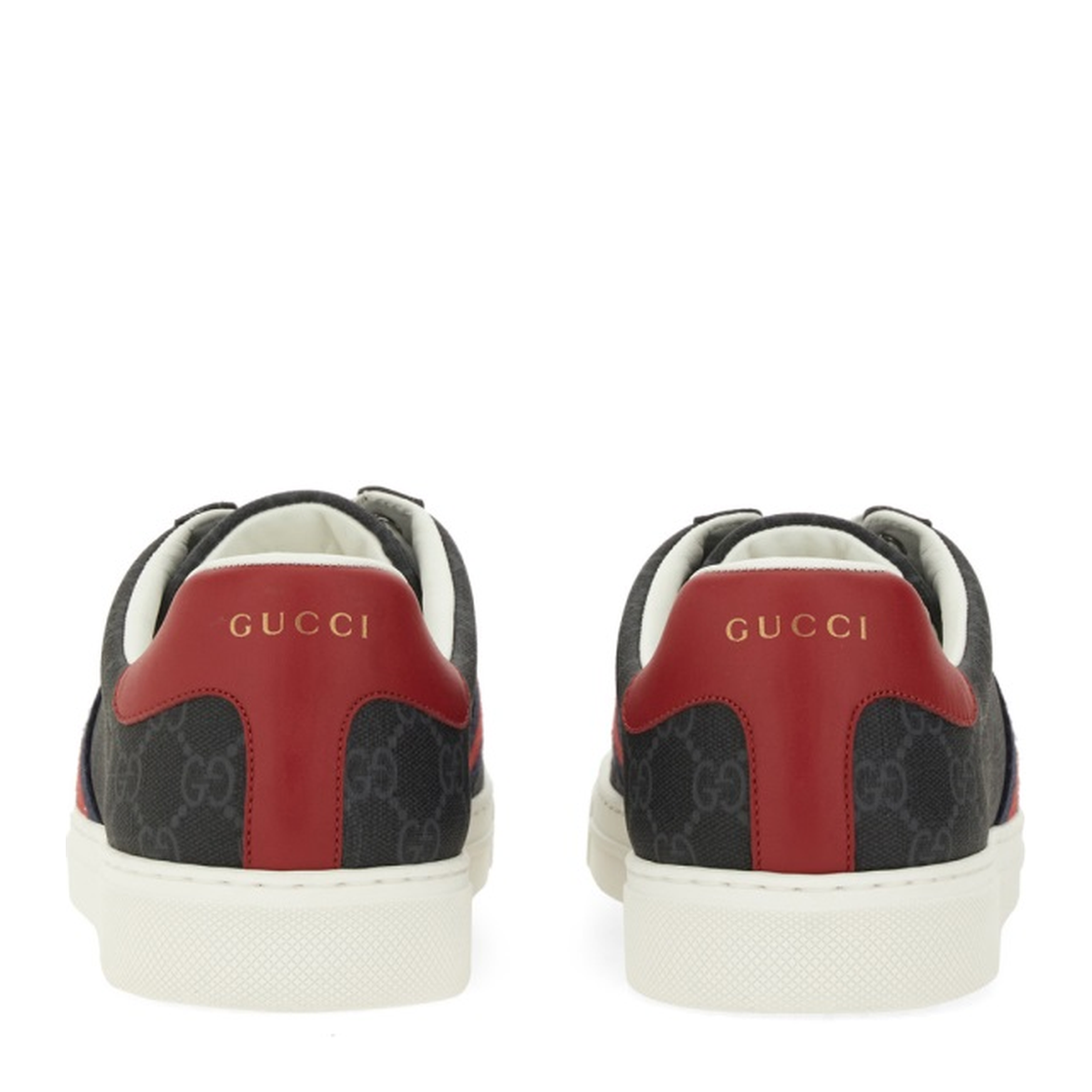 Ace Trainer with Web