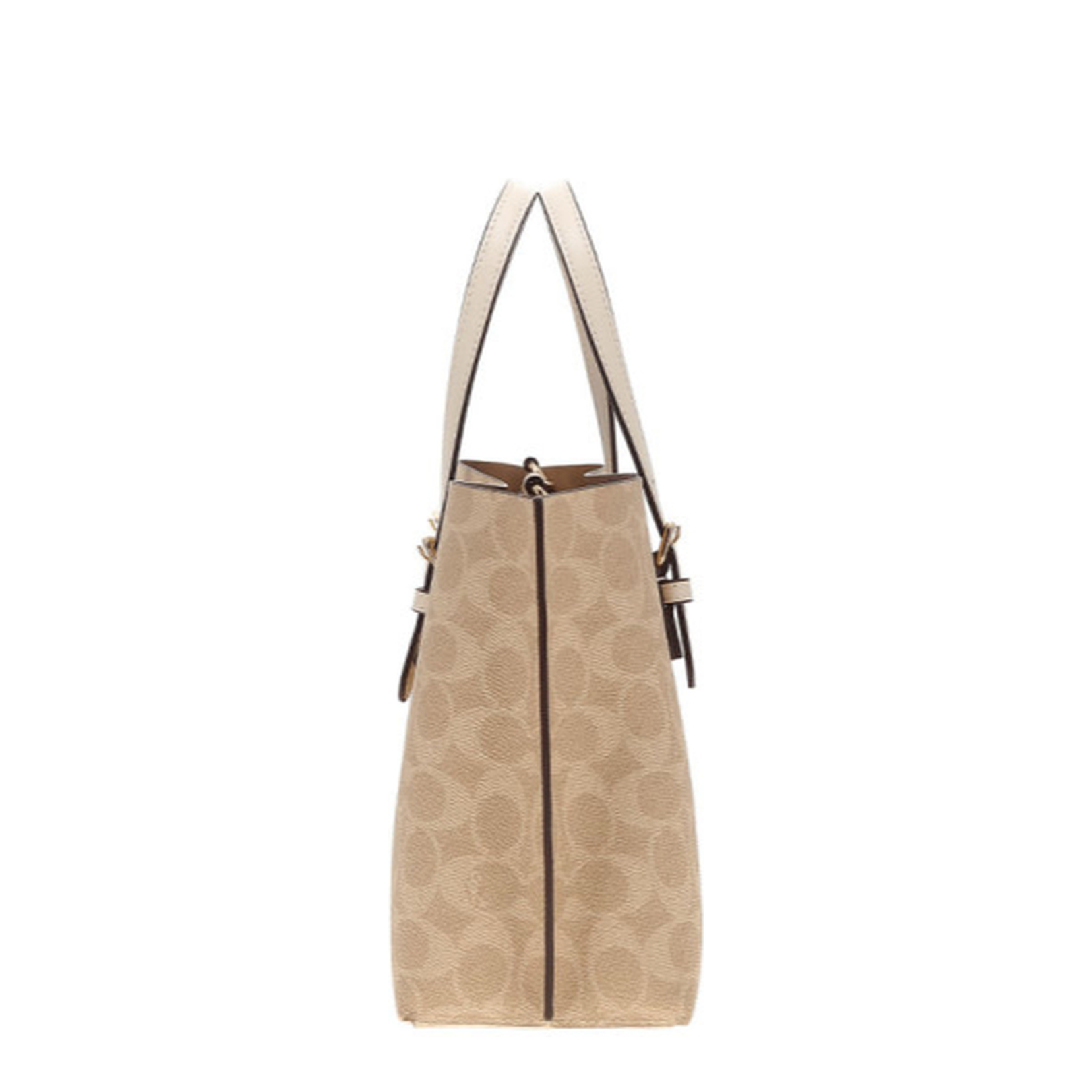 Mollie Tote Bag 25 In Signature Canvas