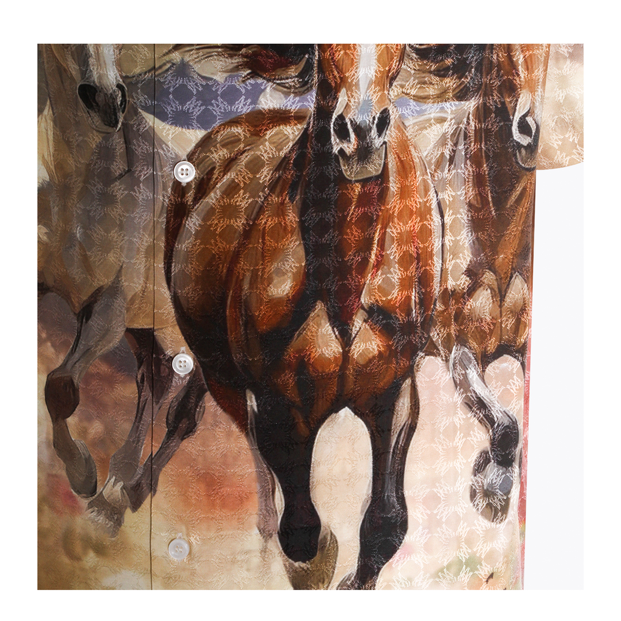 Men's Printed Shirt