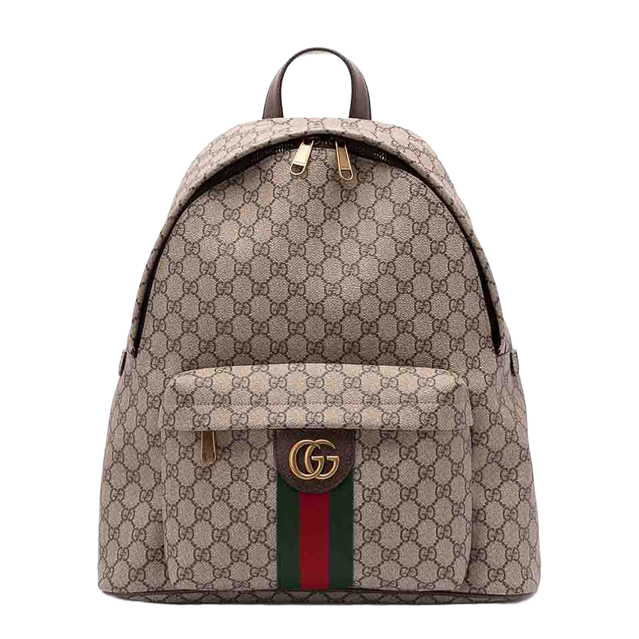 Medium Backpack in Beige and Dark Brown Fabric