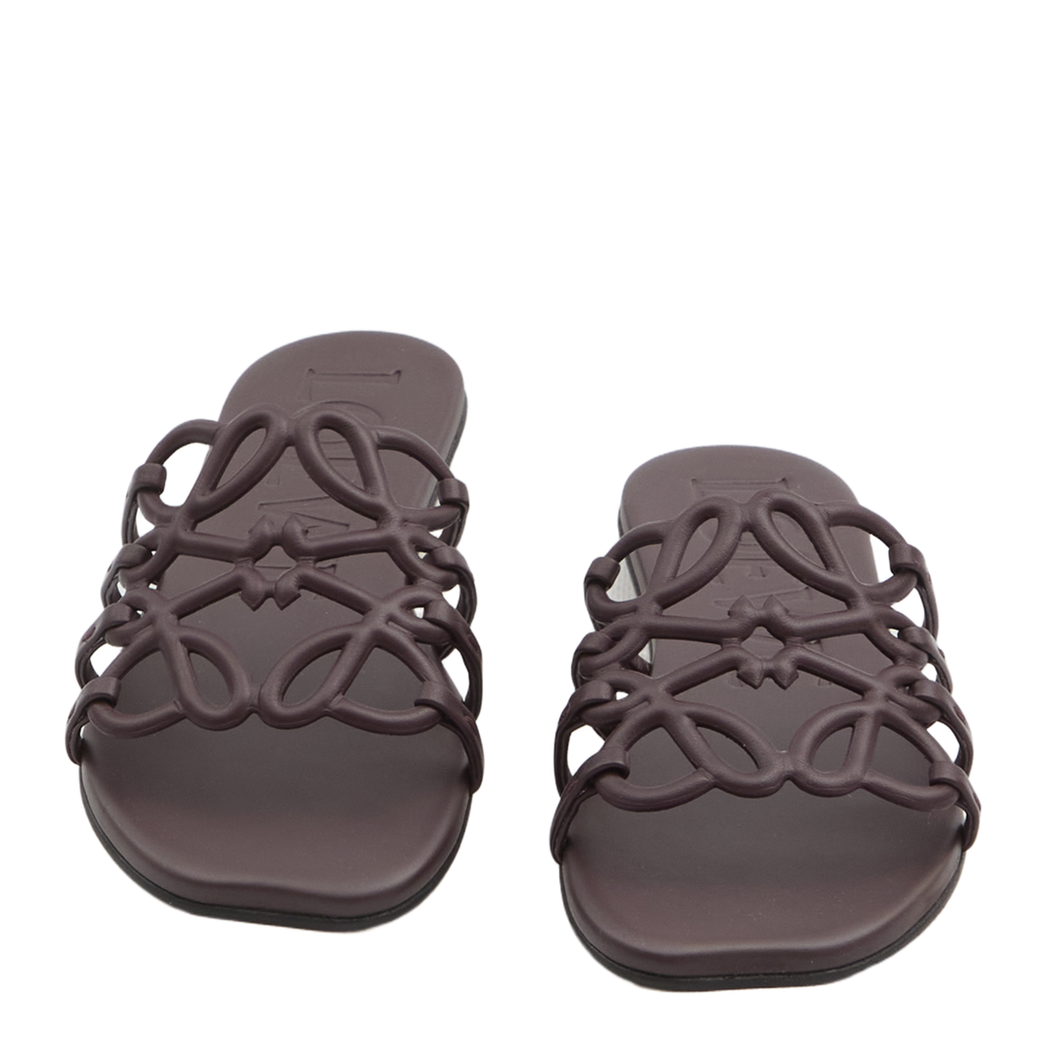 Anagram Petal Slides