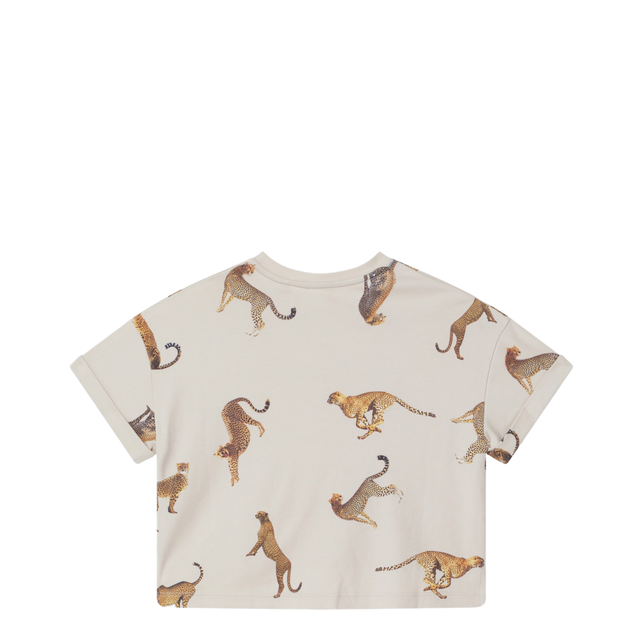 Cream Crop T-Shirt with Leopards