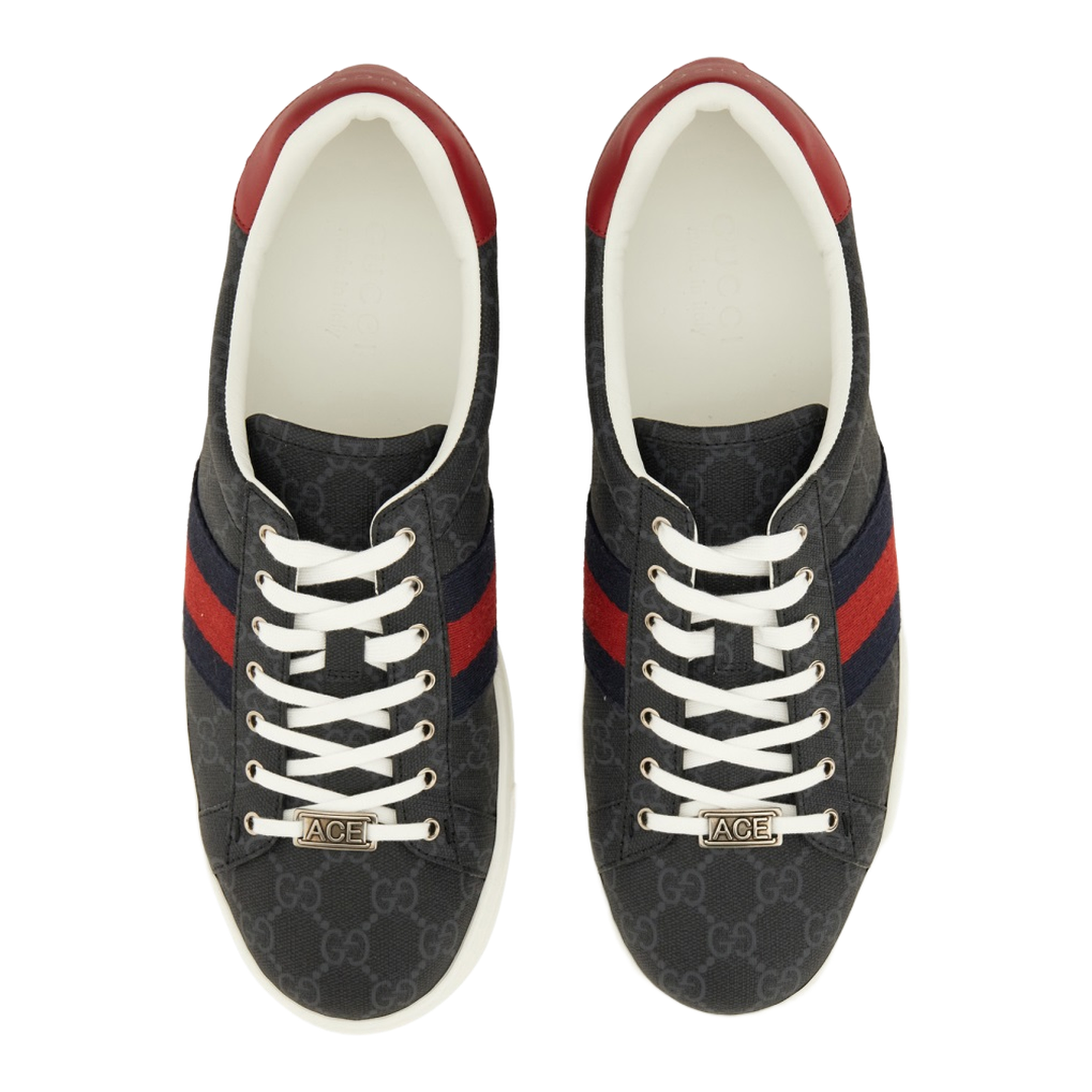 Ace Trainer with Web