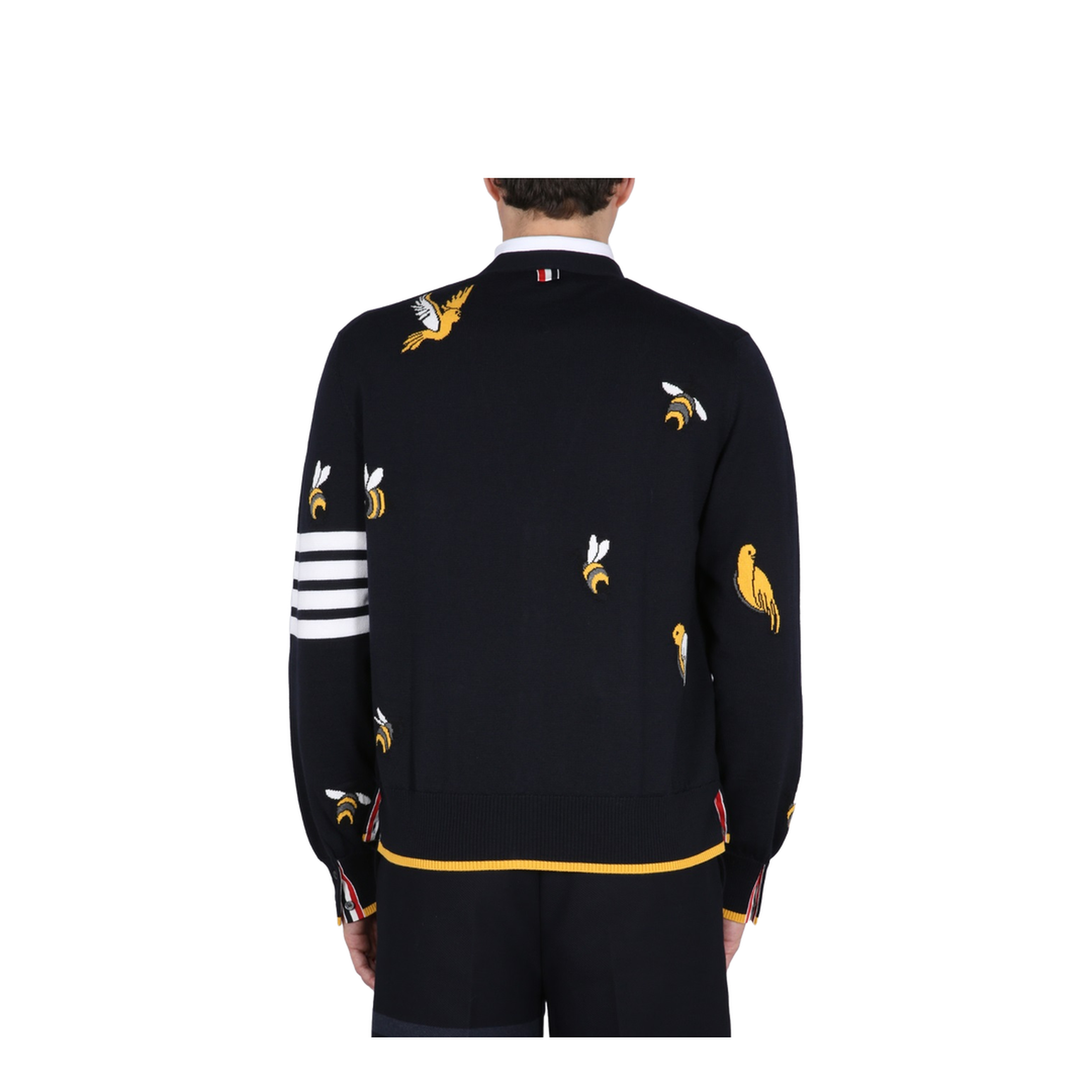 Cardigan with Birds and Bees Inlays