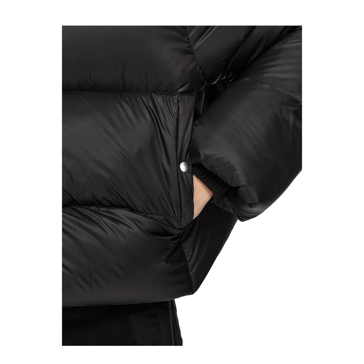 Turtle High Neck Padded Jacket