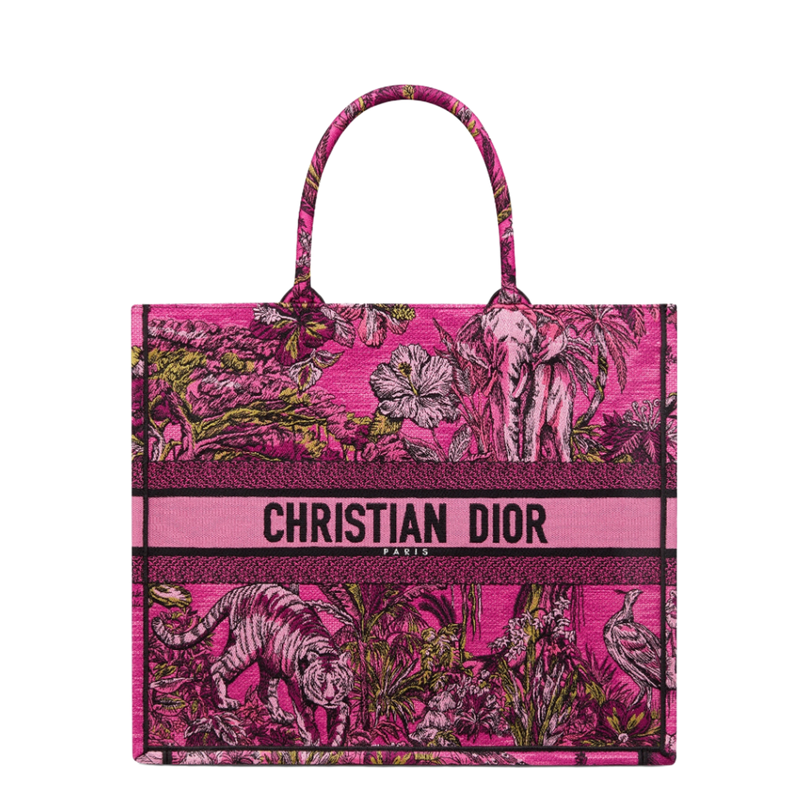 DIOR Women's Handbag