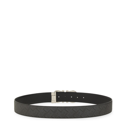 Reversible Hooks Belt