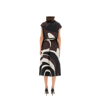 Silk Dress Print