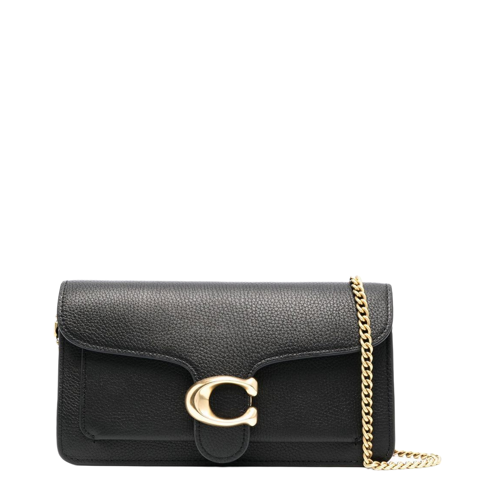 Tabby Chain Clutch
