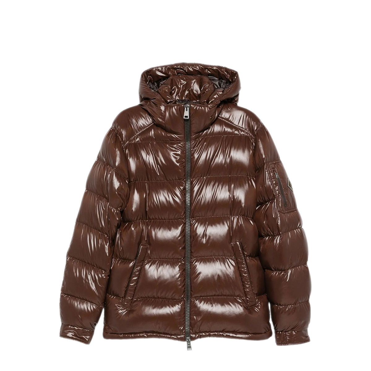 Polar Tech Hooded Down Jacket