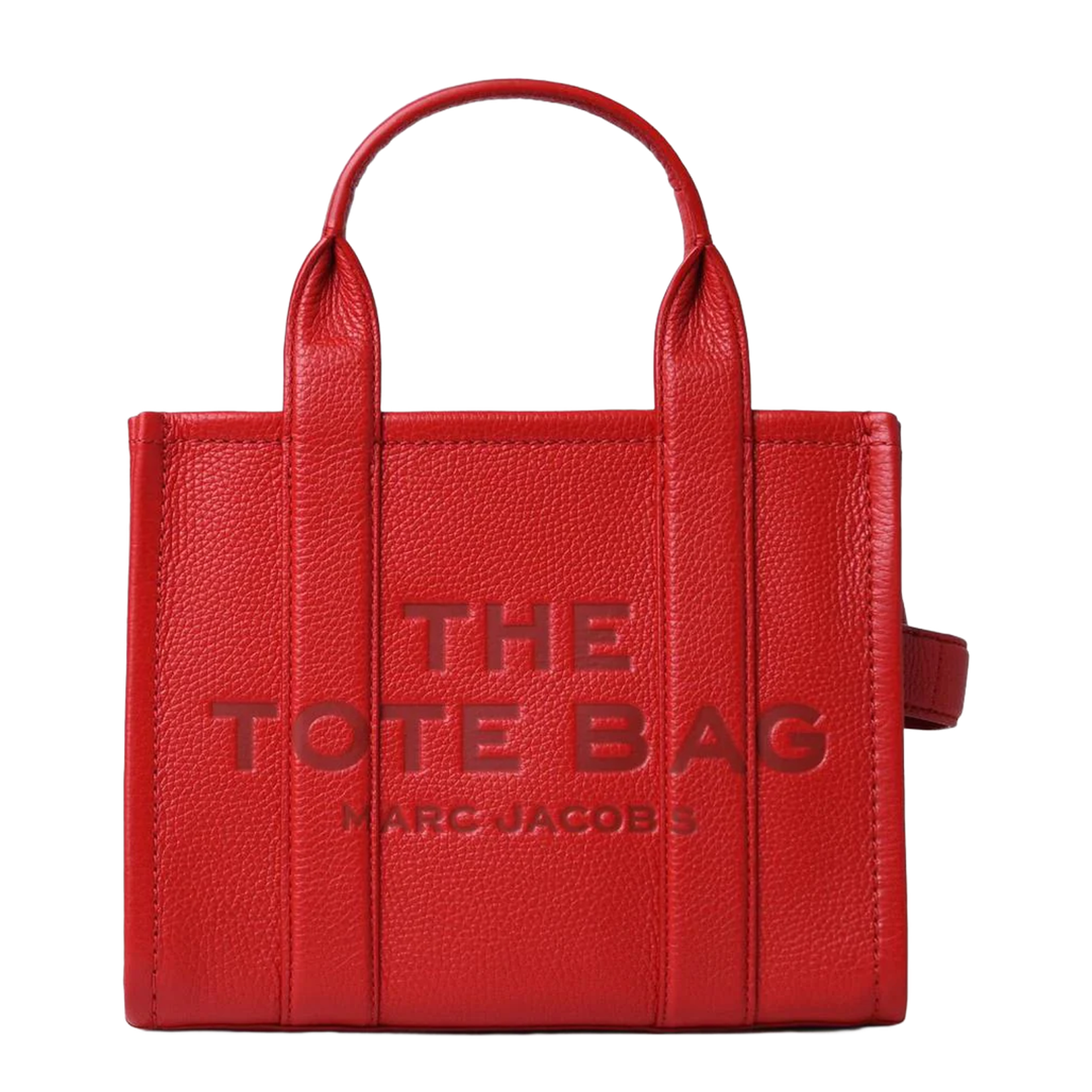 Mini Tote Bag