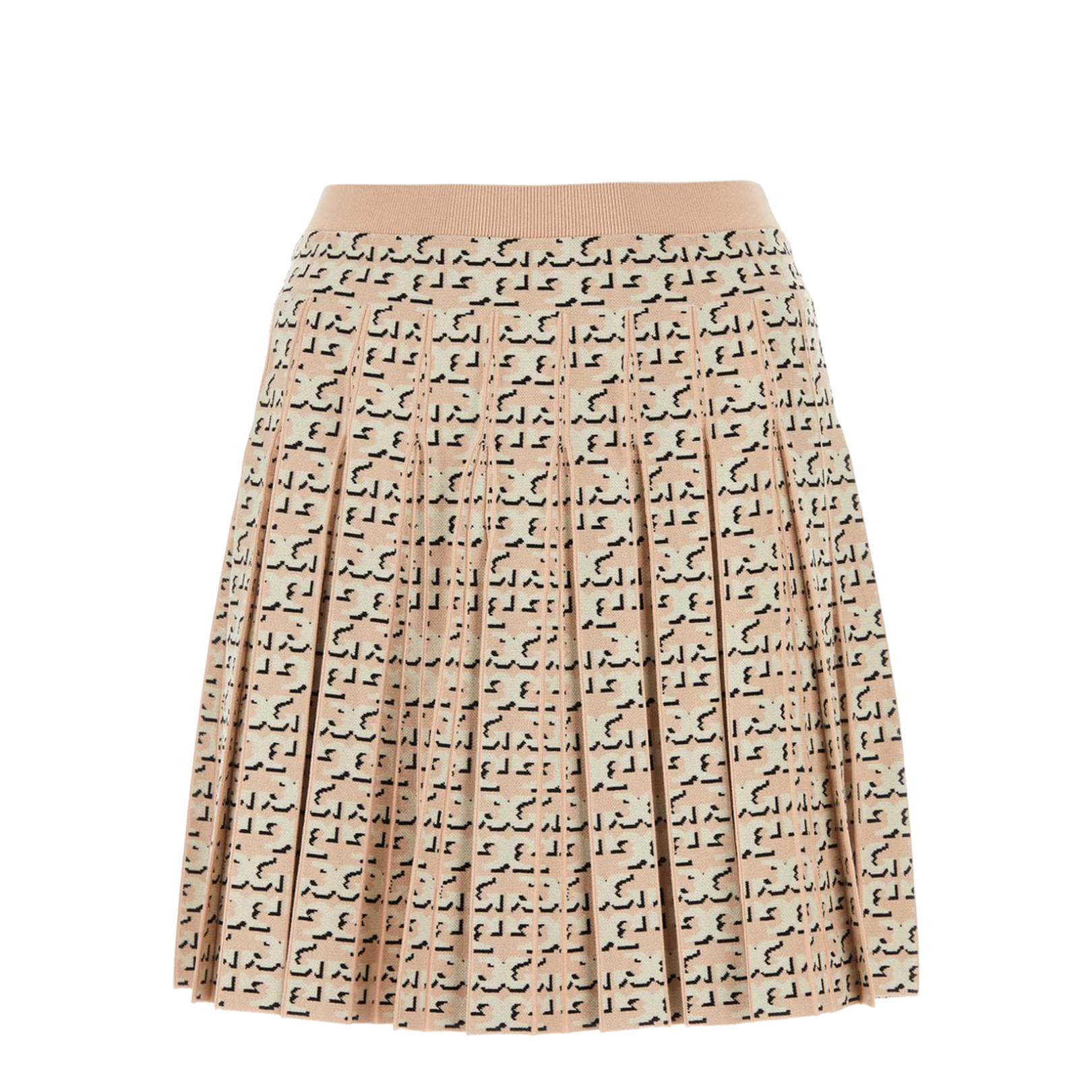 Embroidered Viscose Blend Skirt