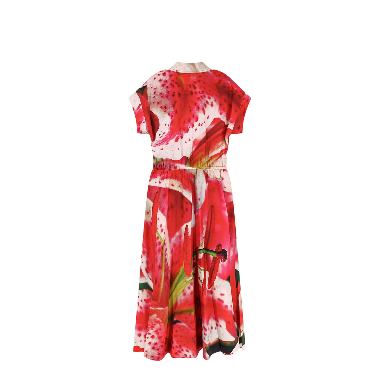 Printed Silk Chemisier Dress